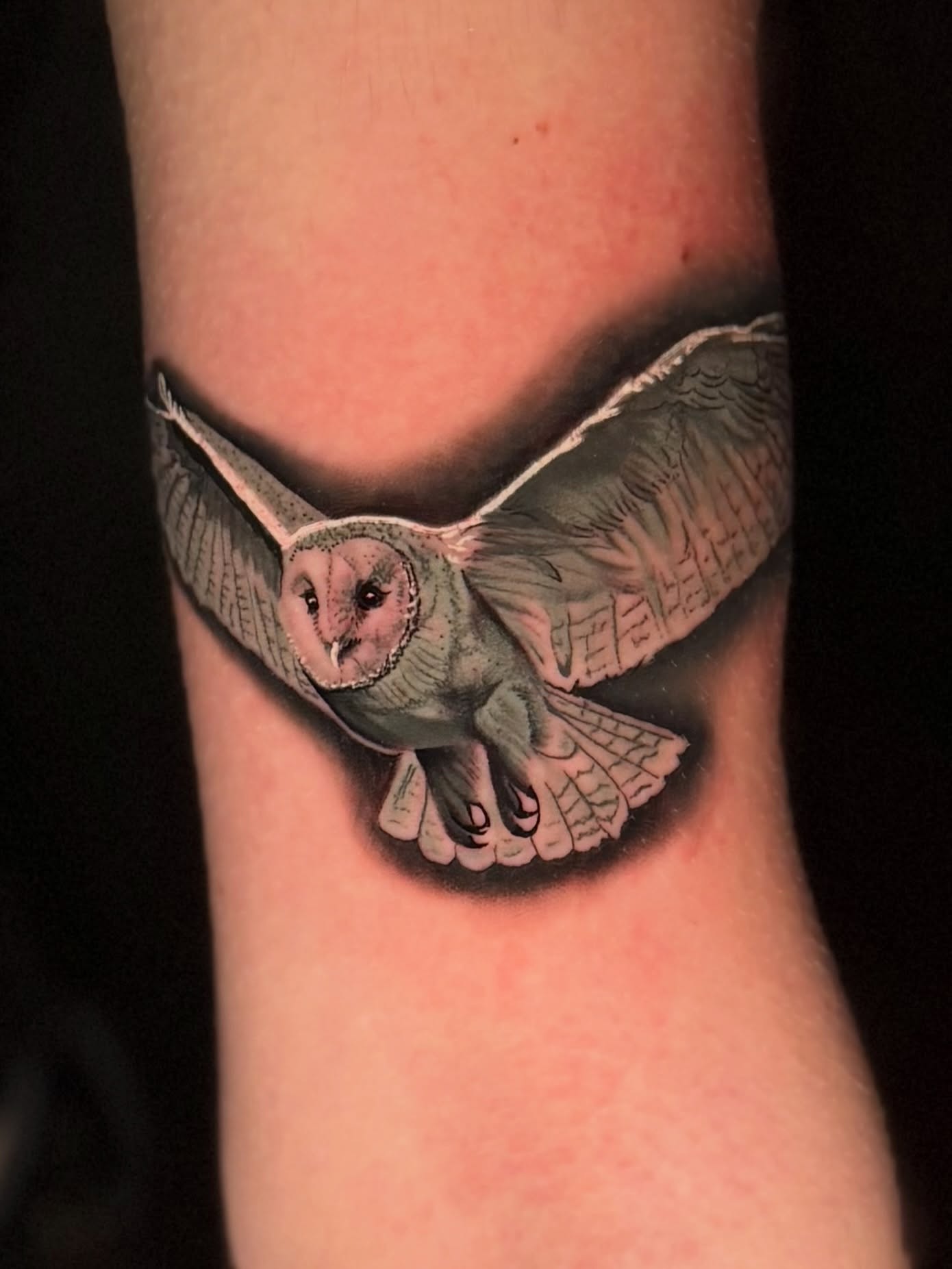 Owl realism tattoo on the forearm by Tay 🥀