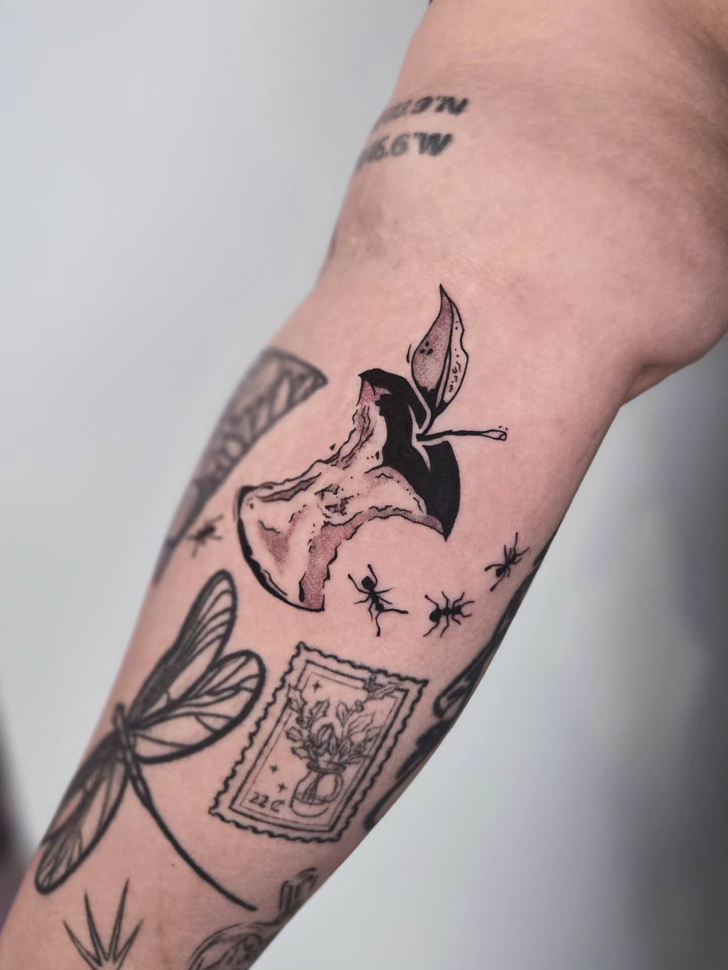 Butterfly and moth black and grey tattoo on the forearm by Kirstie Lew Tattoo