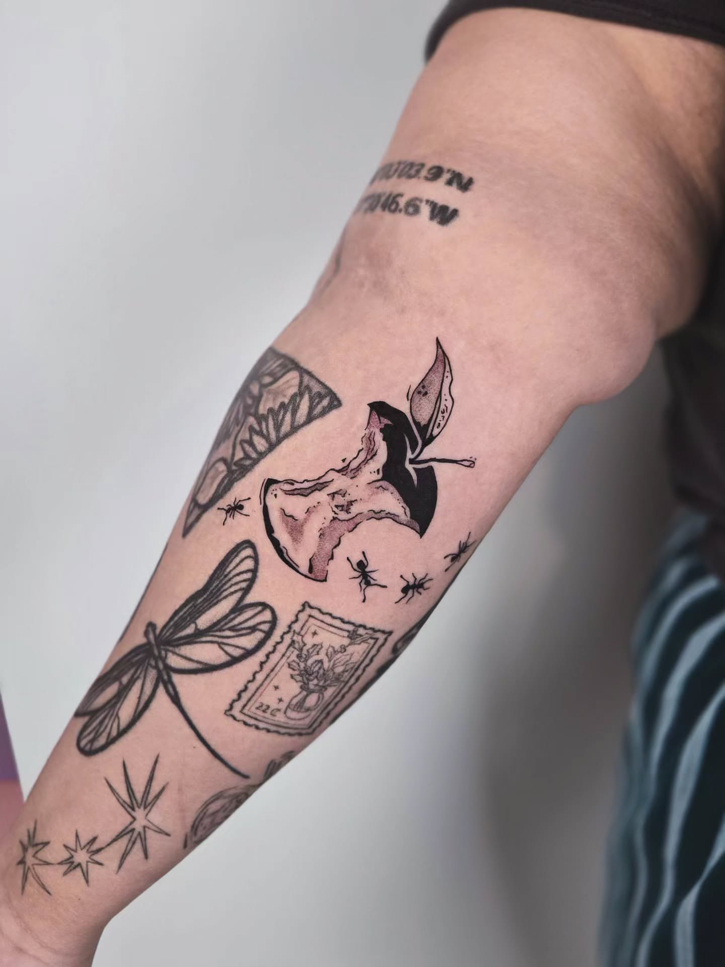 Insects and butterfly black and grey tattoo on the forearm by Kirstie Lew Tattoo