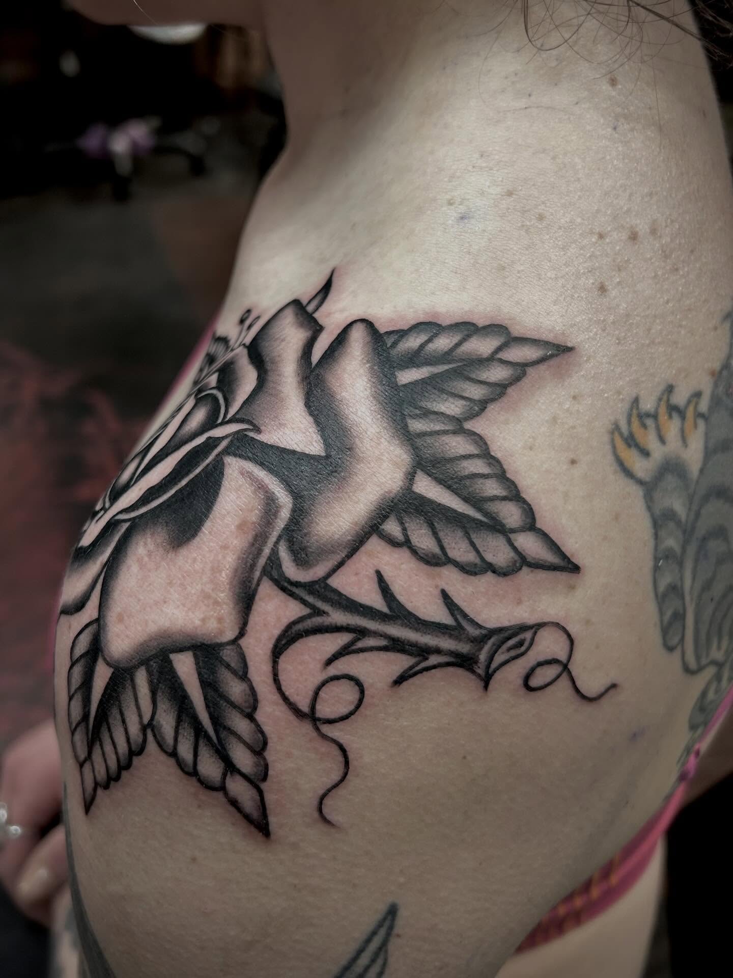 Bird and rose American traditional tattoo on the shoulder by holly danesi . philadelphia tattoo, Philadelphia, Pennsylvania