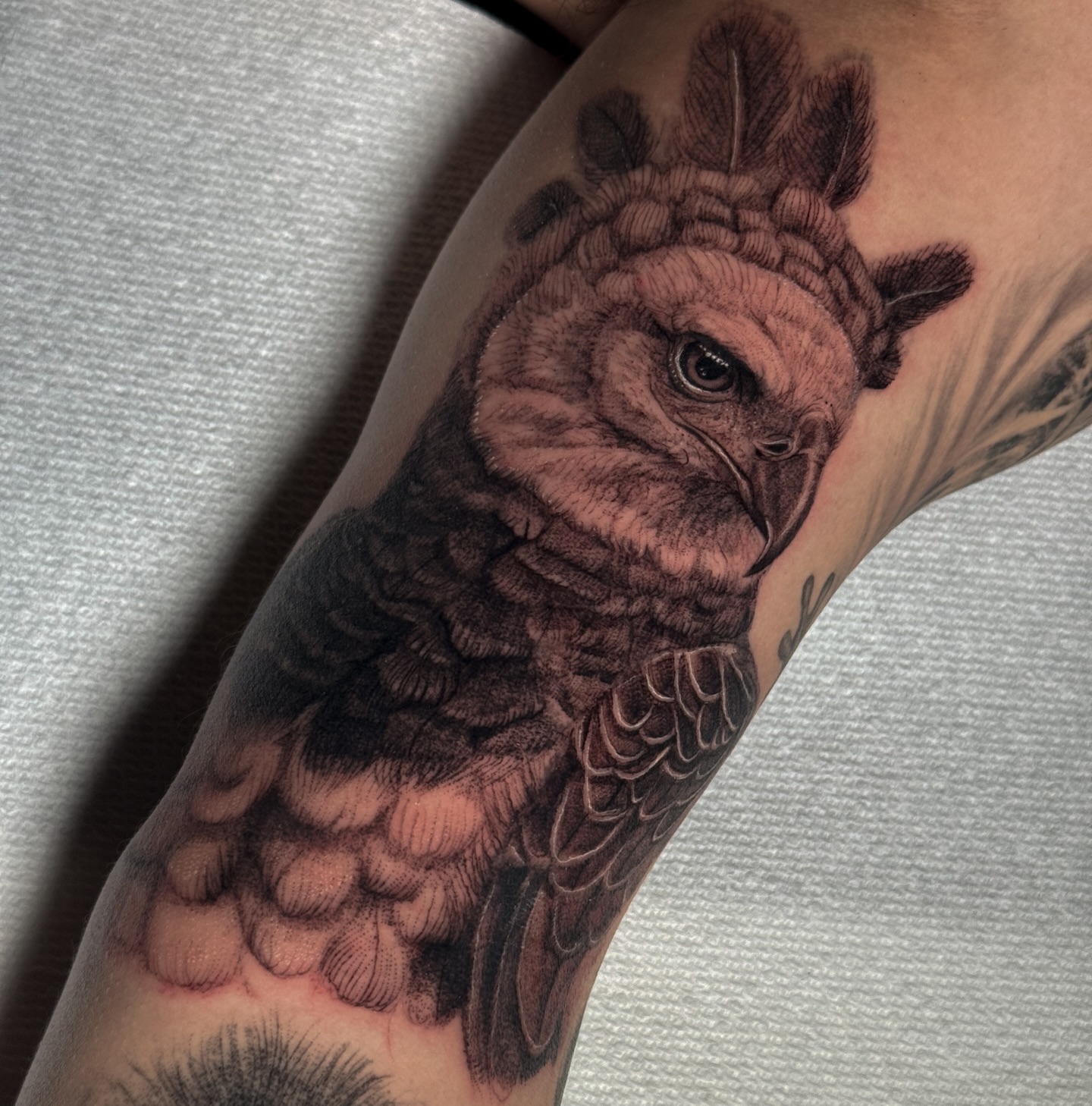 Owl realism tattoo on the forearm by Brisia Cisneros
