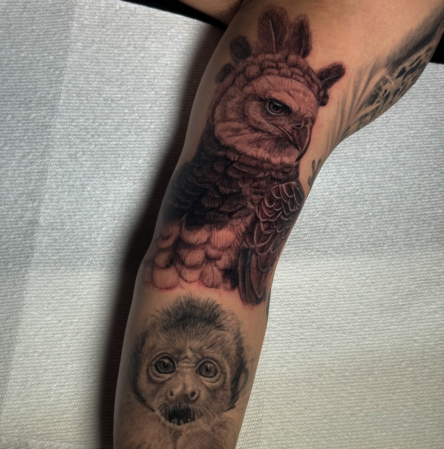 Owl and monkey realism tattoo on the forearm by Brisia Cisneros