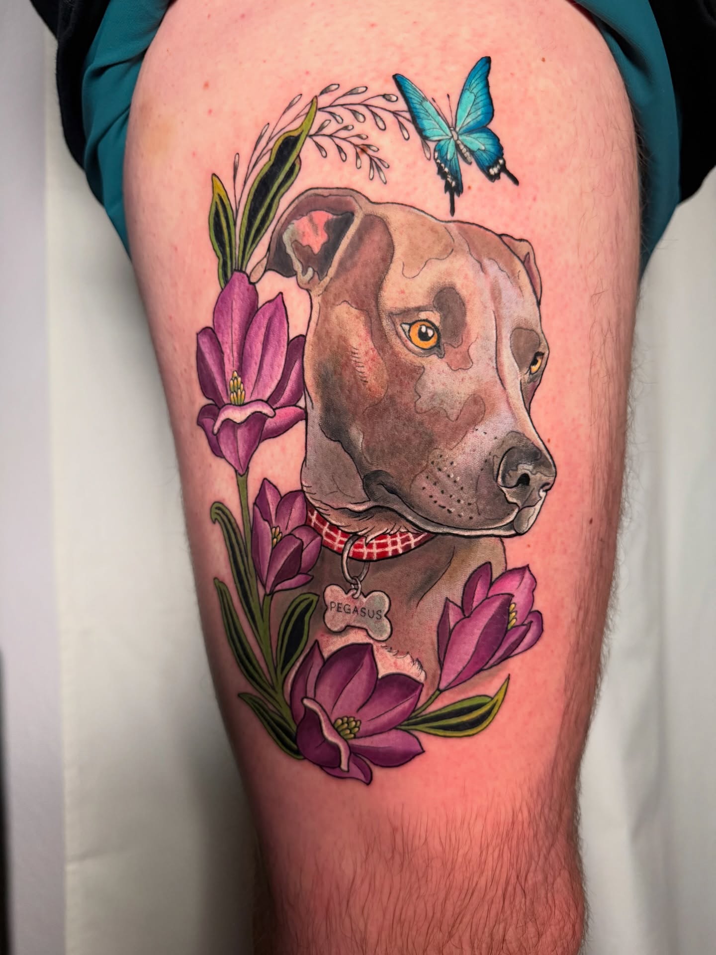 Tattoo by @sharonhealyarts — realism, watercolor
