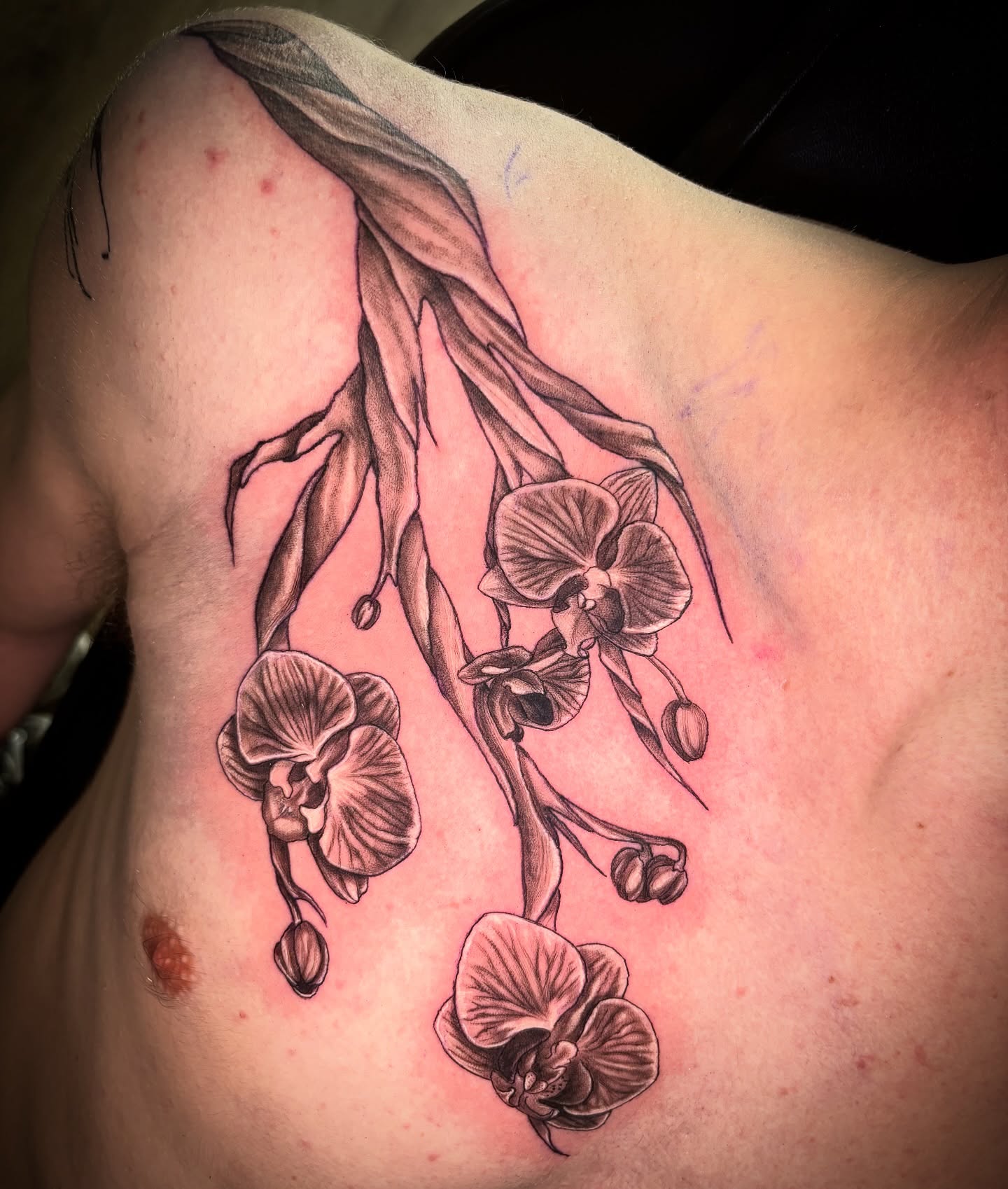 Orchids black and grey tattoo on the shoulder by Kiwi🌱☀️
