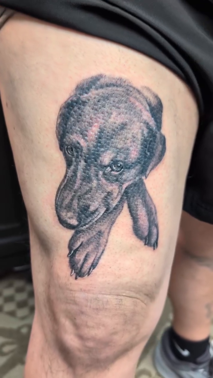 Tattoo by @benceciltattoos — realism, black_and_grey