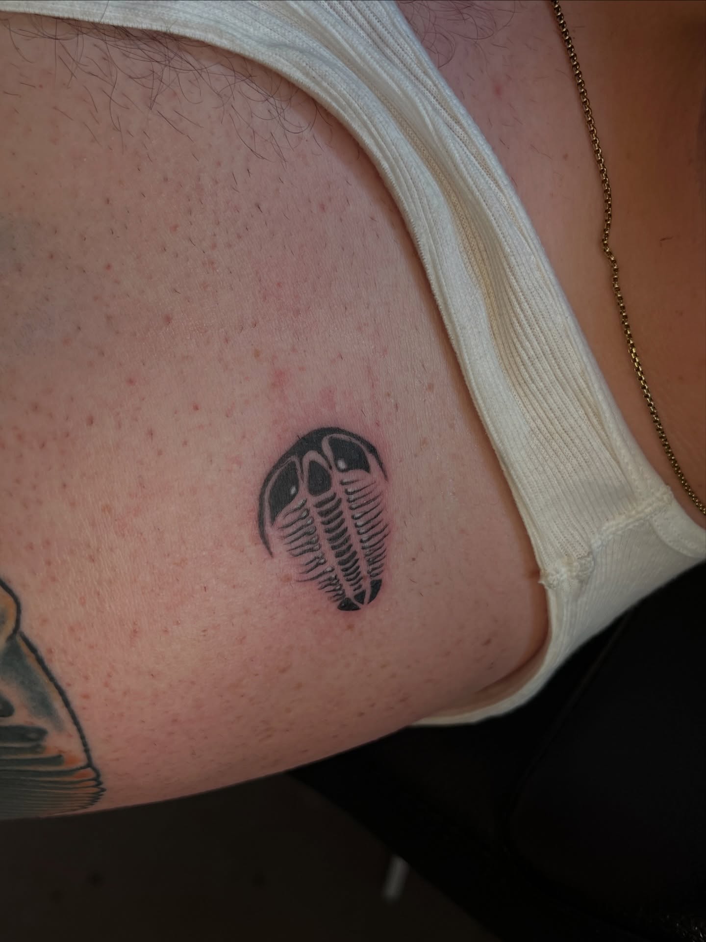 Trilobite black and grey tattoo on the thigh by ★𝐑𝐮𝐞★
