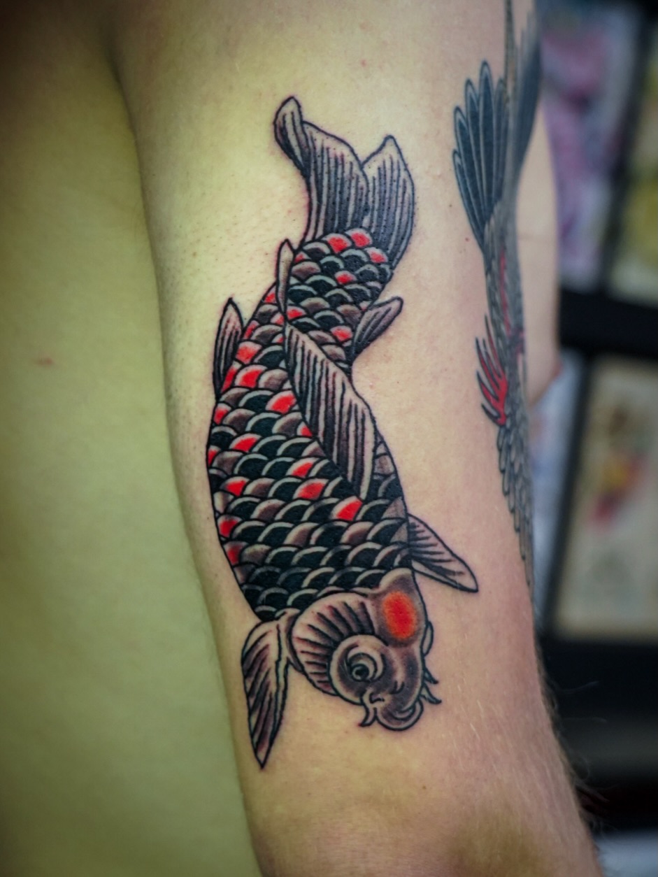 Koi fish American traditional tattoo on the forearm by Spicoli