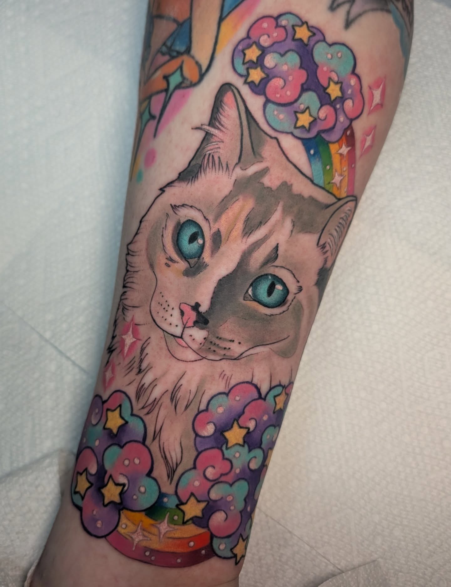 Cat realism tattoo on the forearm by Ellie