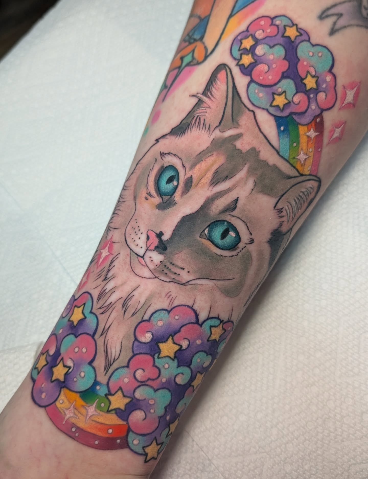 Cat new school tattoo on the forearm by Ellie