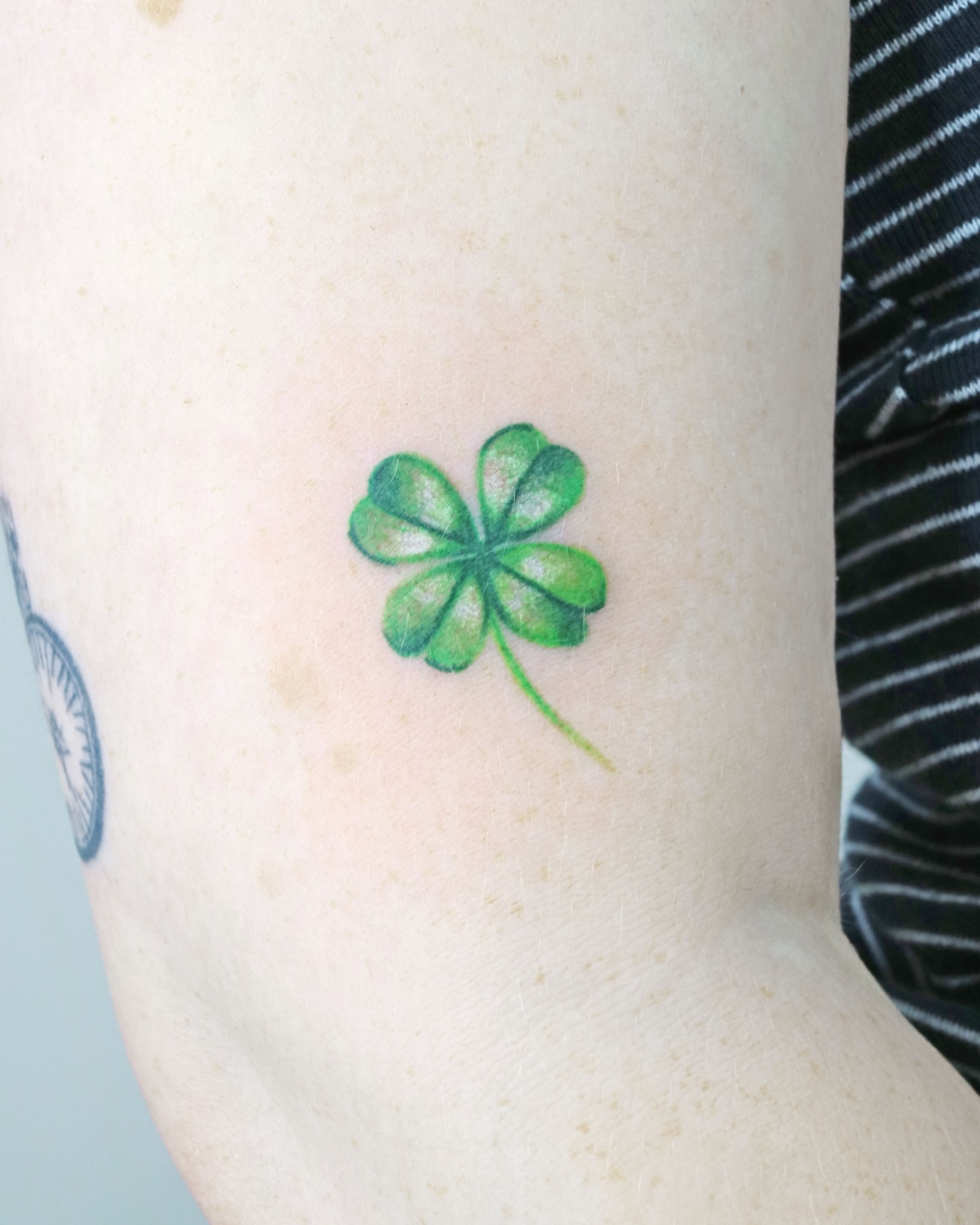 Four-leaf clover dotwork tattoo on the forearm by Aroha
