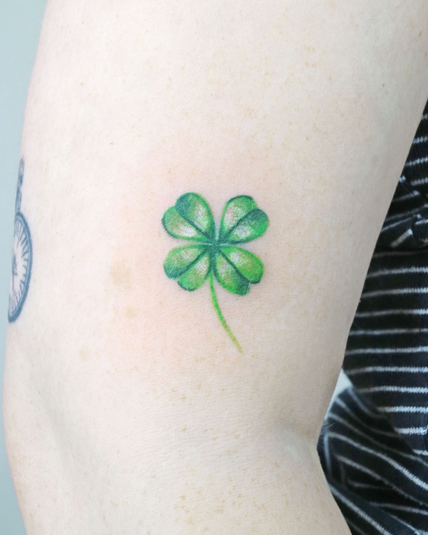 Four-leaf clover dotwork tattoo on the forearm by Aroha