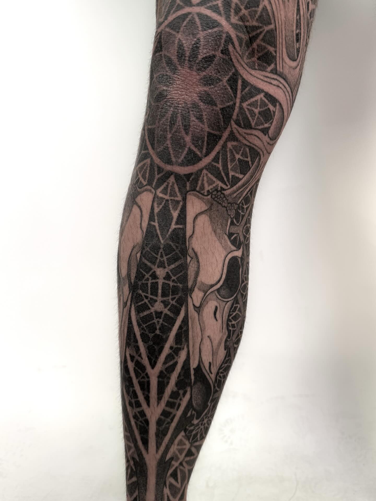 Deer skull and geometric patterns geometric tattoo on the forearm by Jamie Beach, Wheat Ridge, Colorado