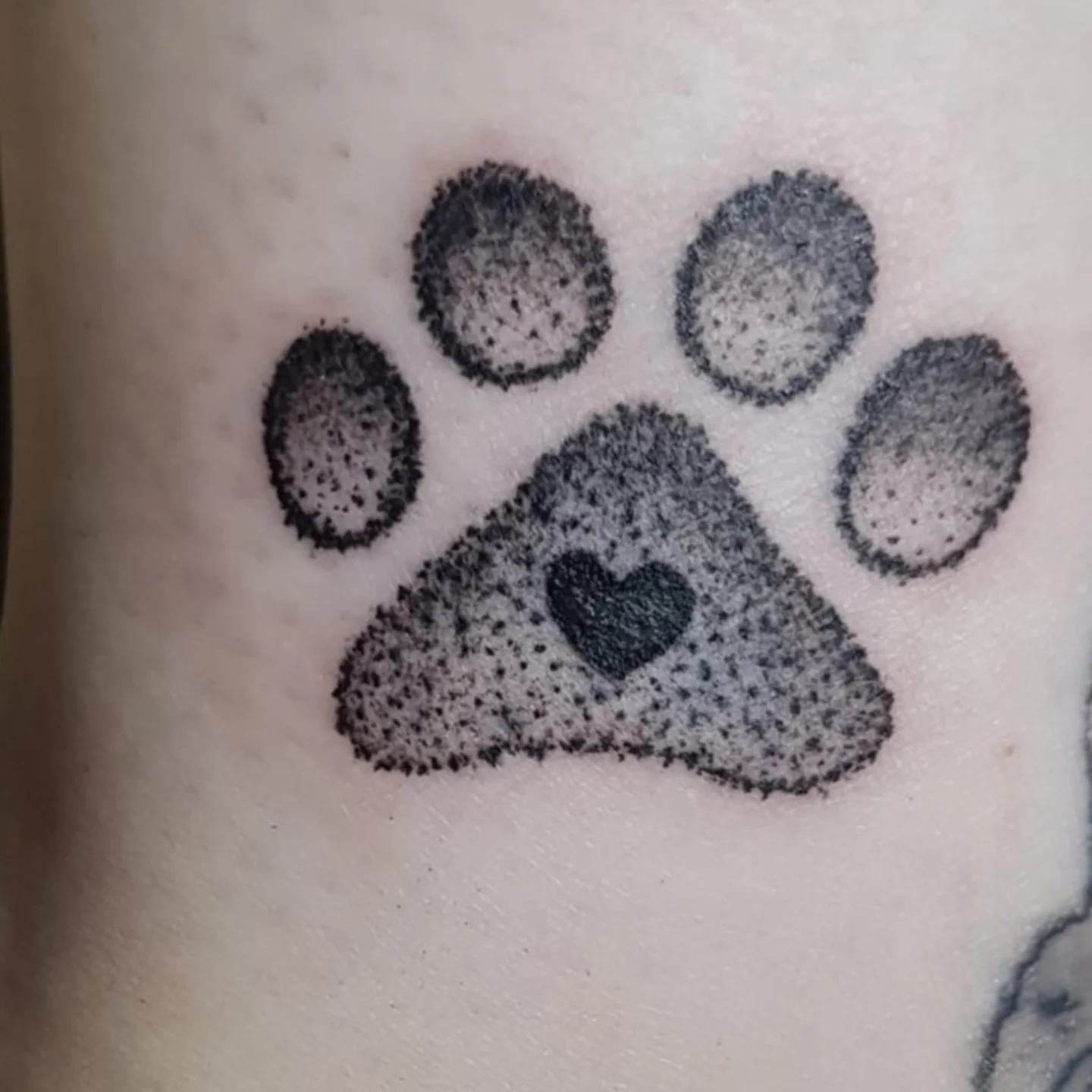 Paw print dotwork tattoo on the forearm by Artful Ink