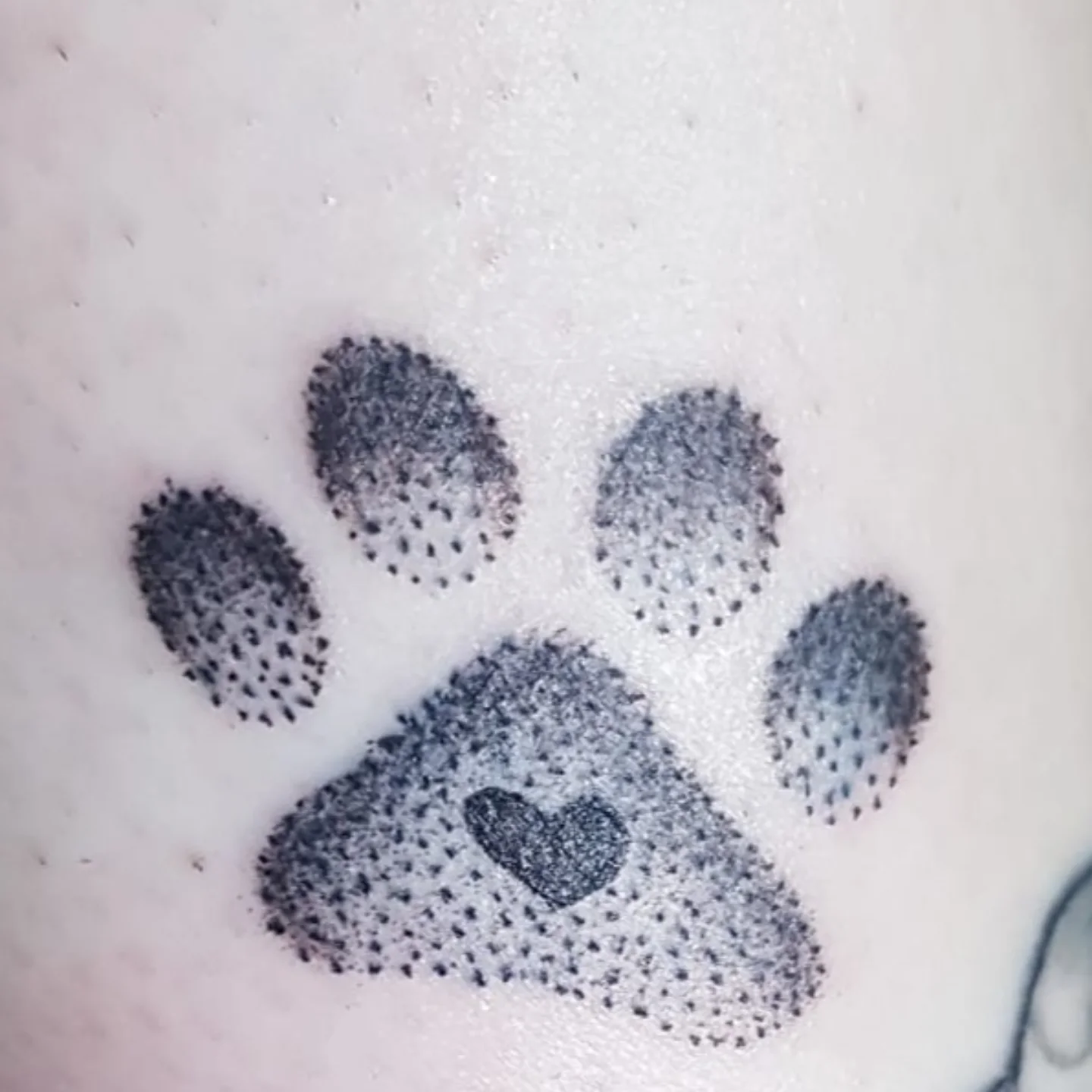 Paw print dotwork tattoo on the forearm by Artful Ink