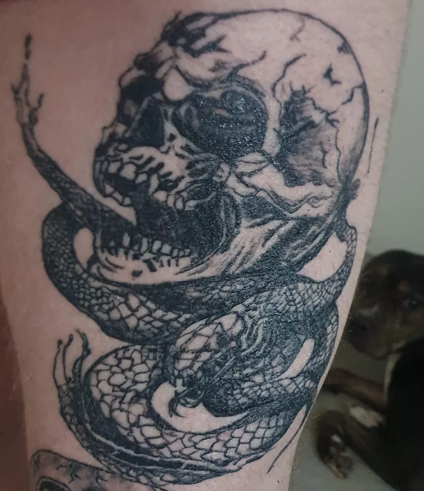 Skull and snake realism tattoo on the forearm by Artful Ink