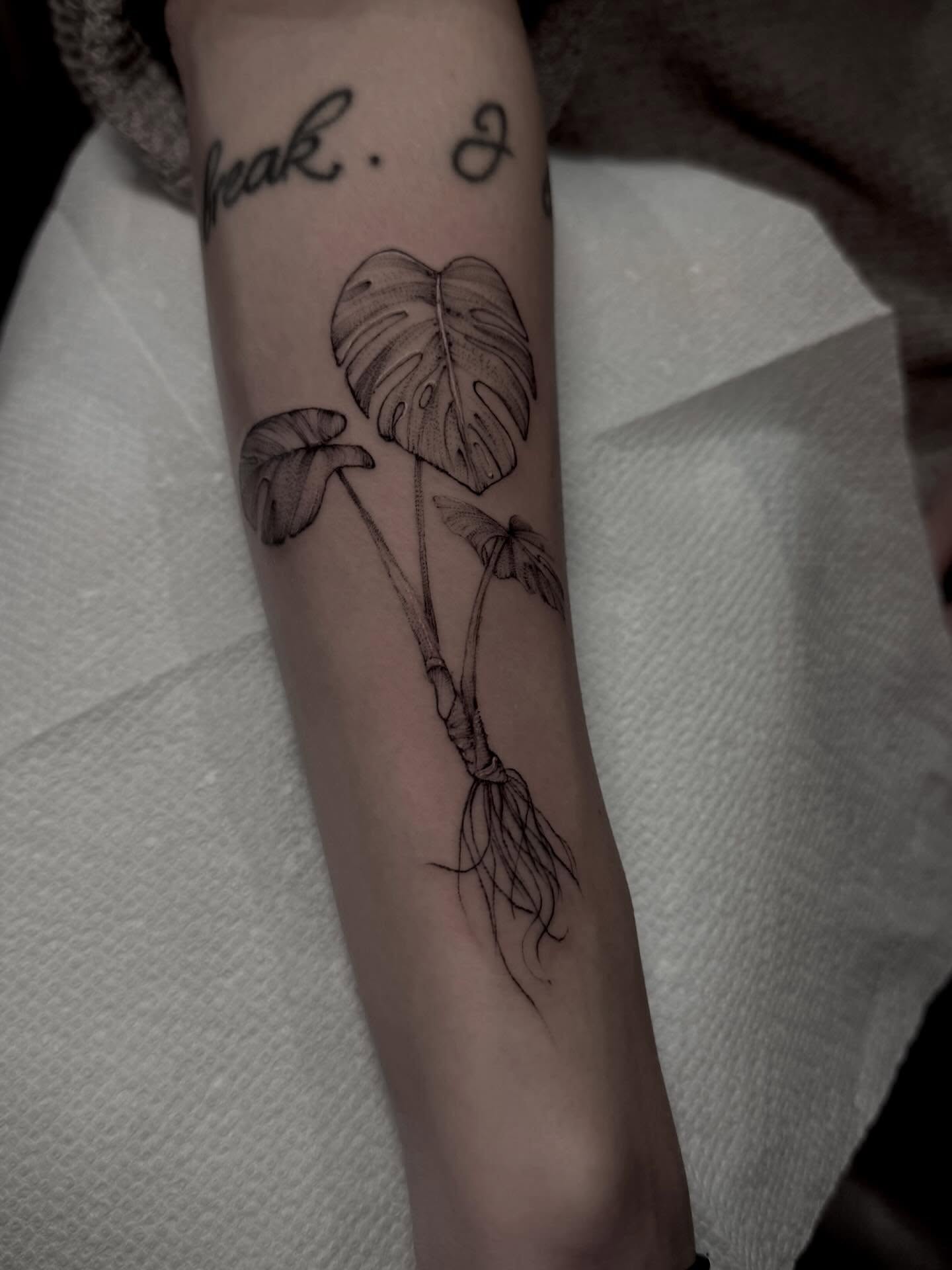 Monstera plant realism tattoo on the forearm by Tattoos by Robyn Pallotta, Austin, Texas