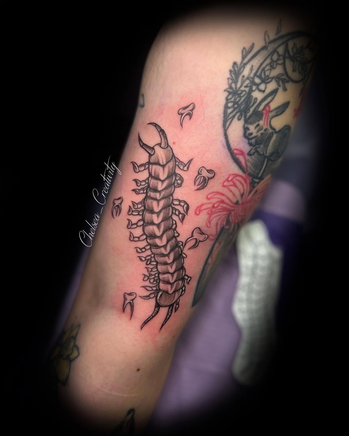 Centipede realism tattoo on the forearm by Chelsea Nichole
