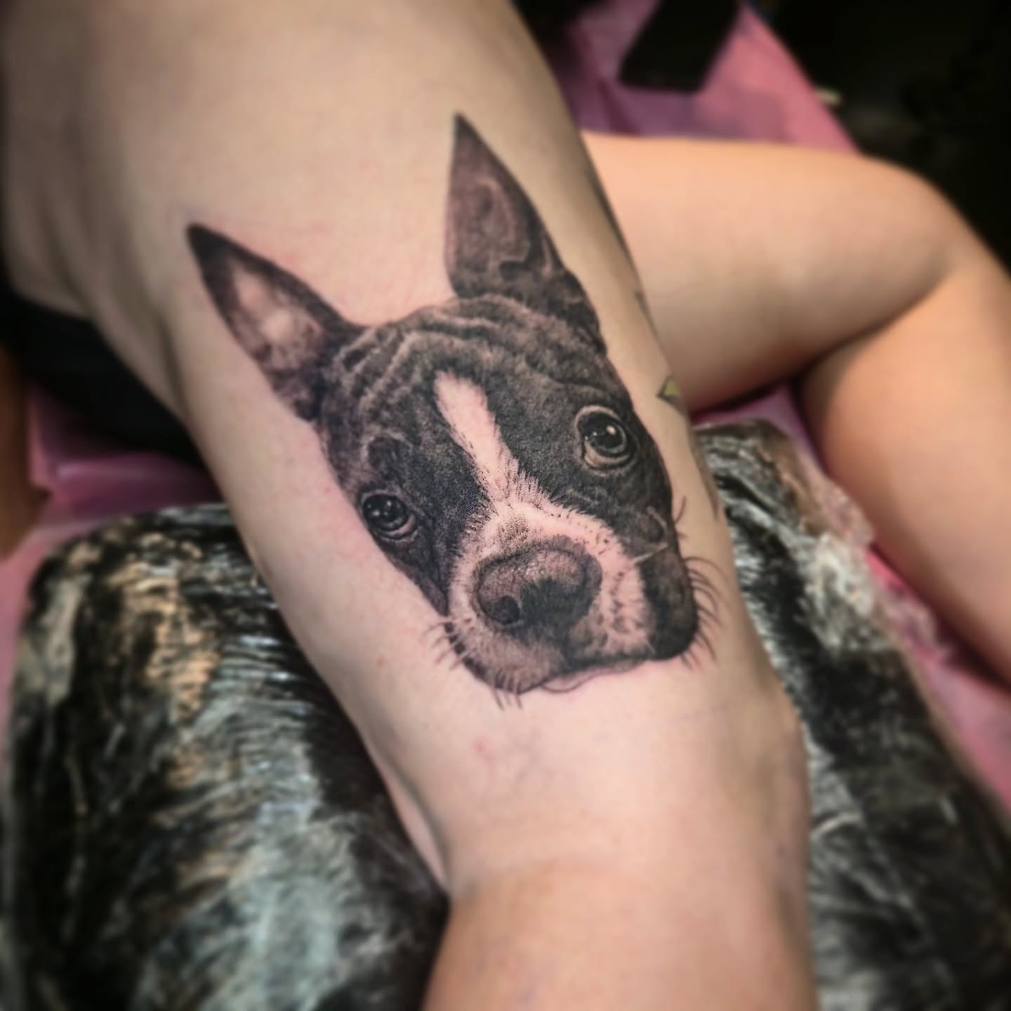 Dog realism tattoo on the forearm by Barrett Handel