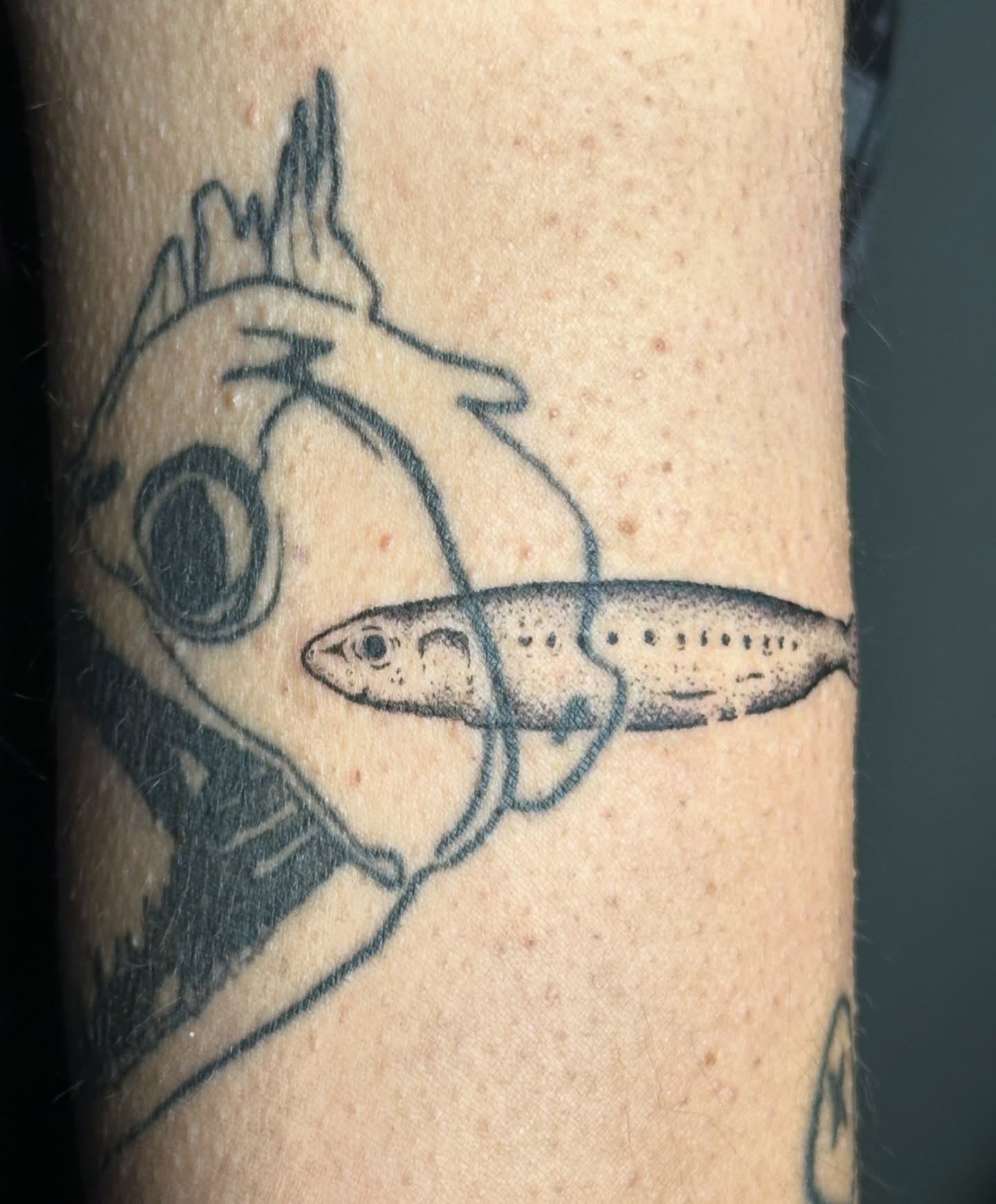 Tattoo by @guayabaiqueso — dotwork