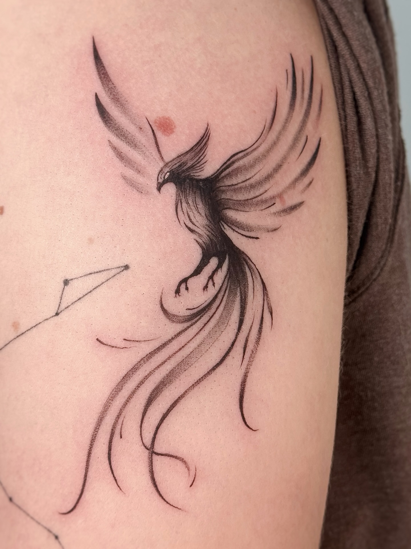 Phoenix black and grey tattoo on the shoulder by Gianna Rodriguez