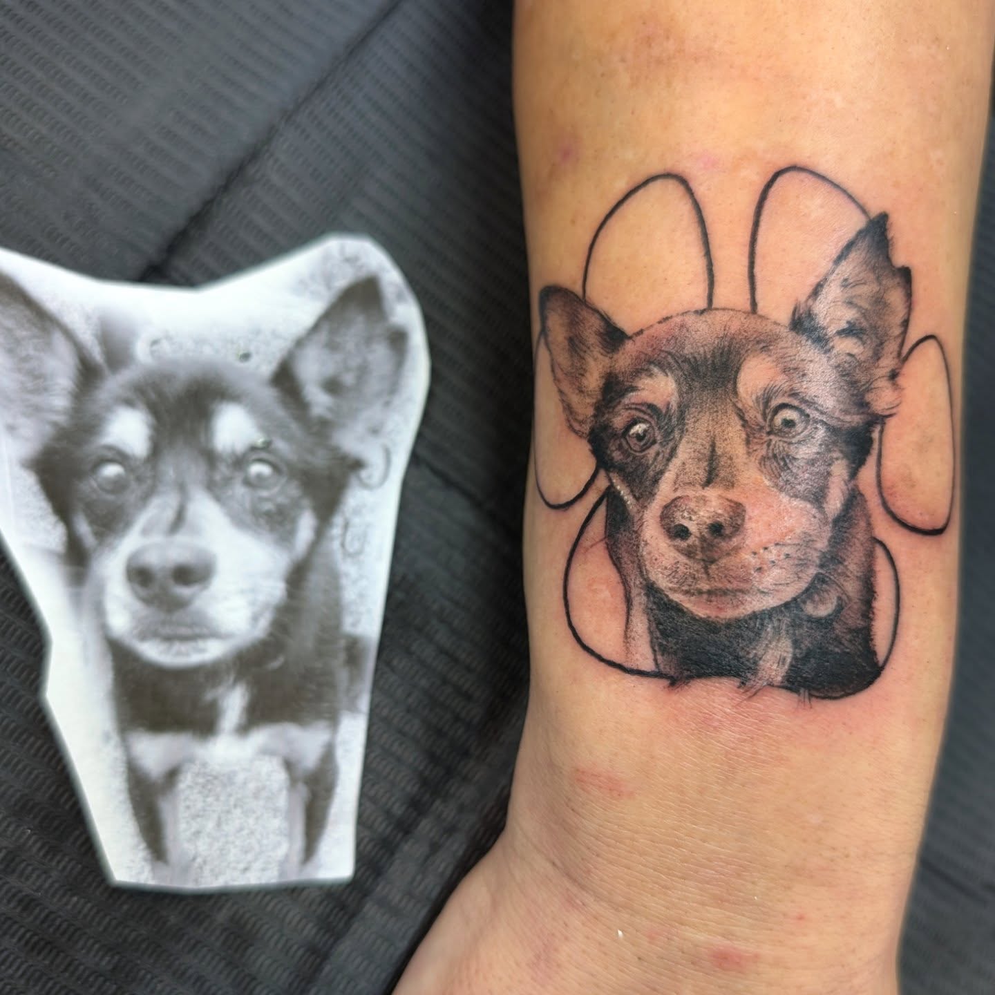 Dog realism tattoo on the forearm by Katherine
