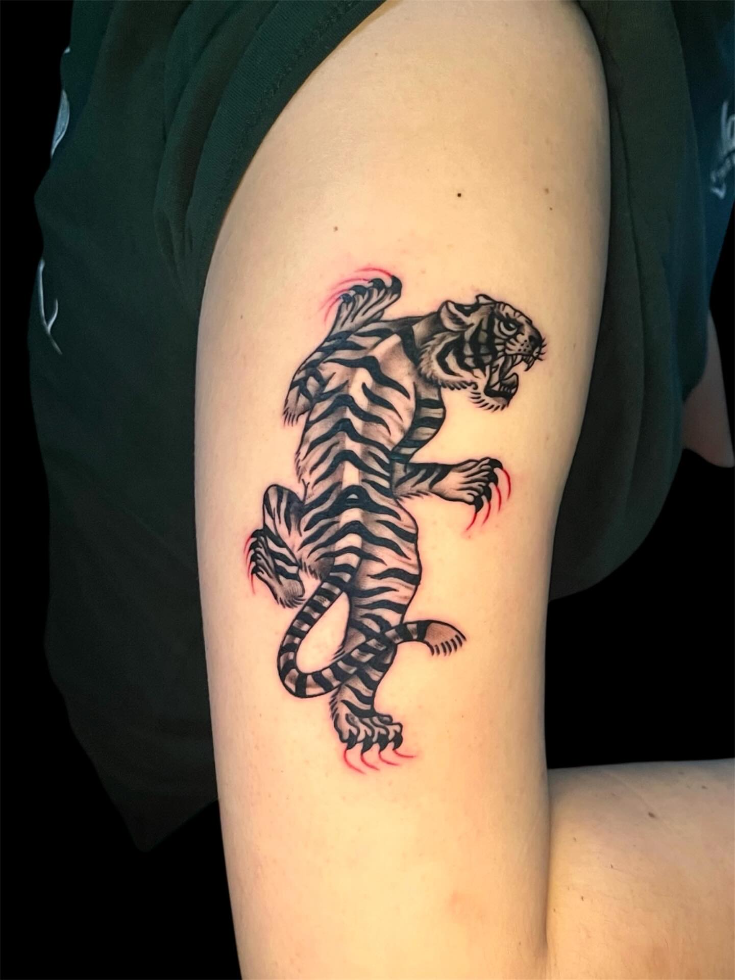 Tiger black and grey tattoo on the forearm by Brooke Kresco