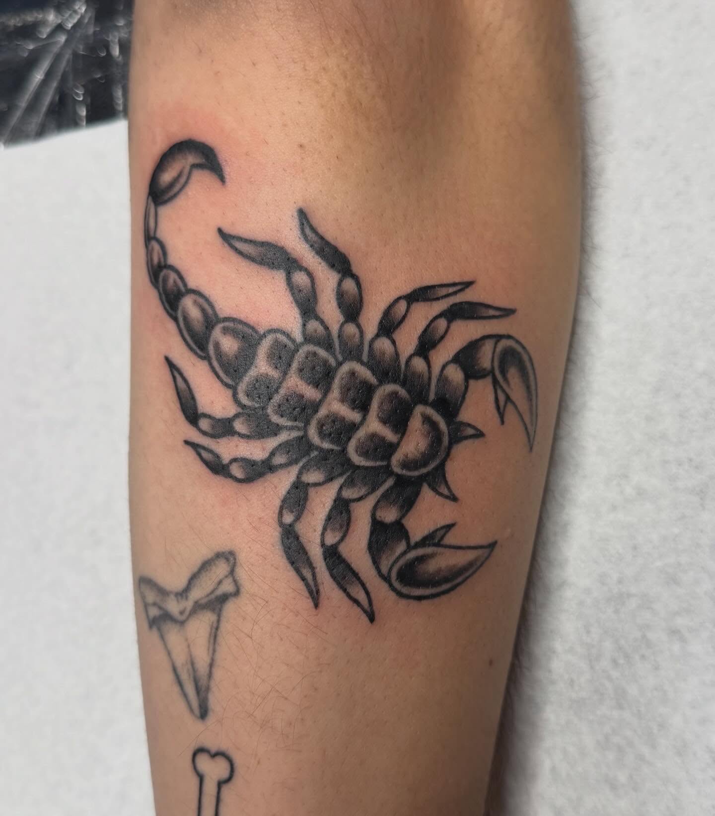 Scorpion black and grey tattoo on the forearm by savannah