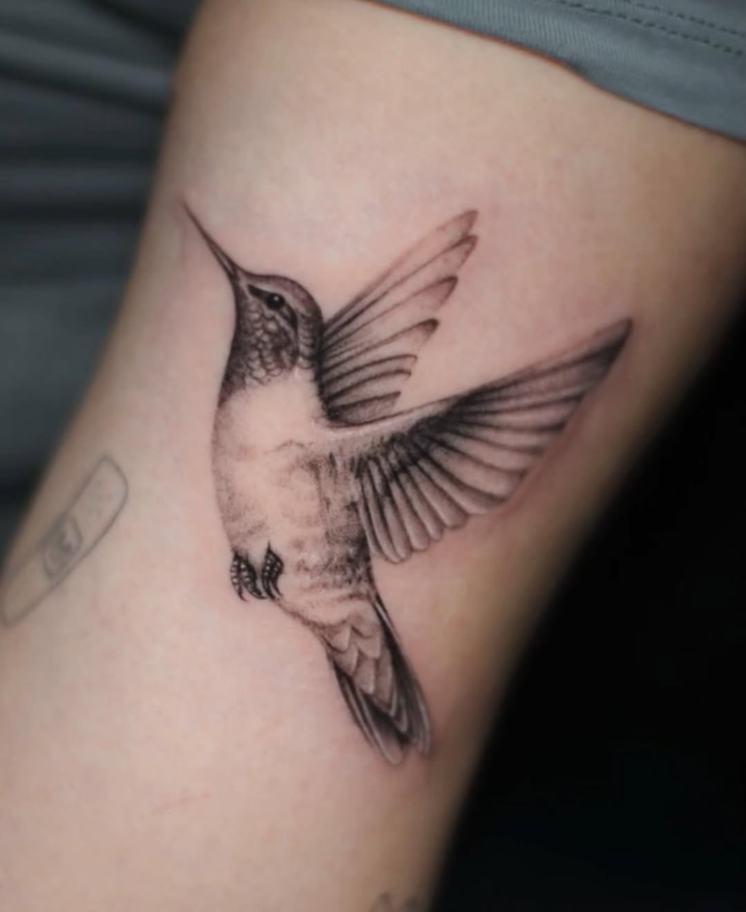 Hummingbird fine line tattoo on the forearm by 𝐒𝐡𝐞𝐫𝐥𝐥𝐲