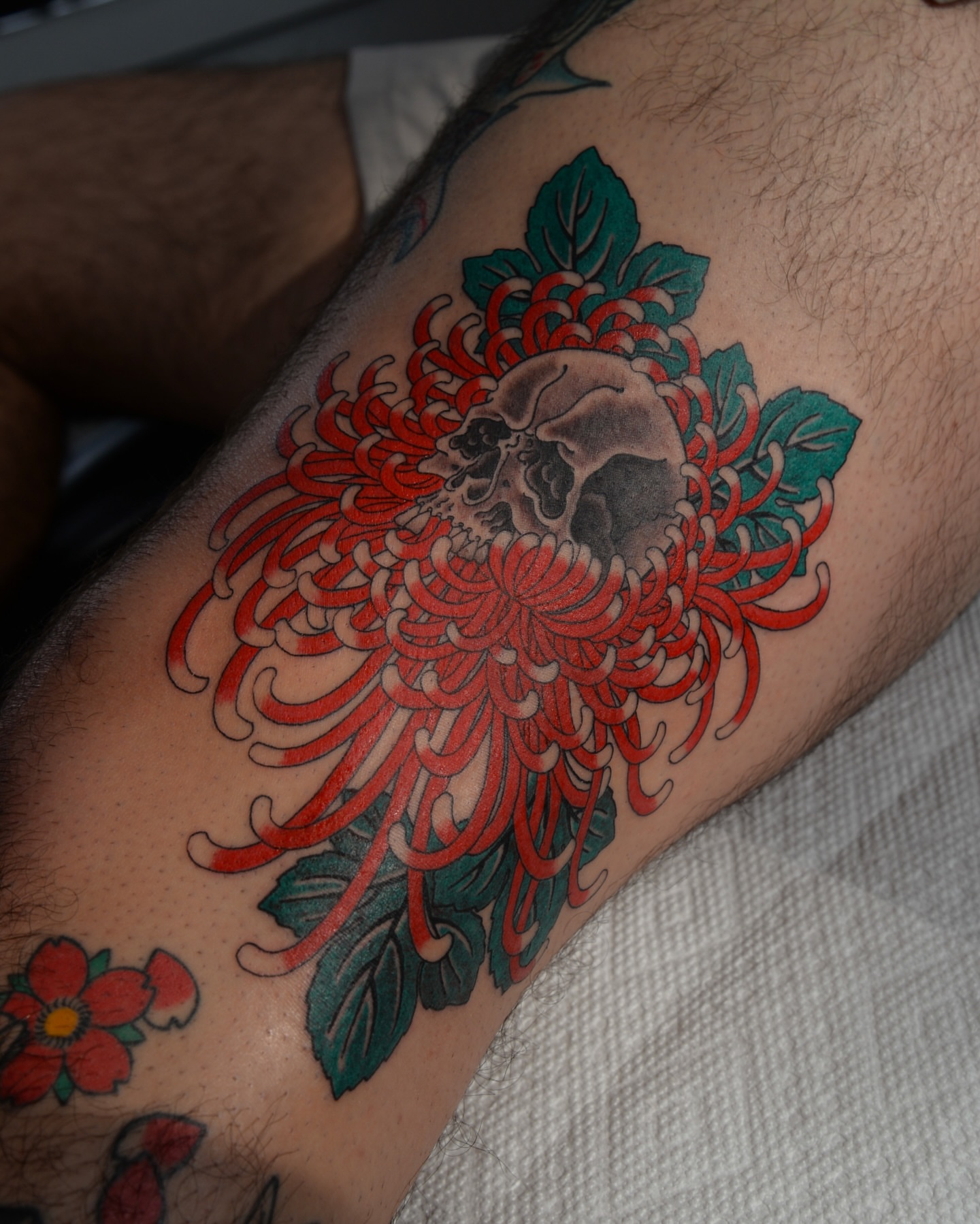 Chrysanthemum and skull japanese irezumi tattoo on the forearm by zak brochu, Windsor, Ontario