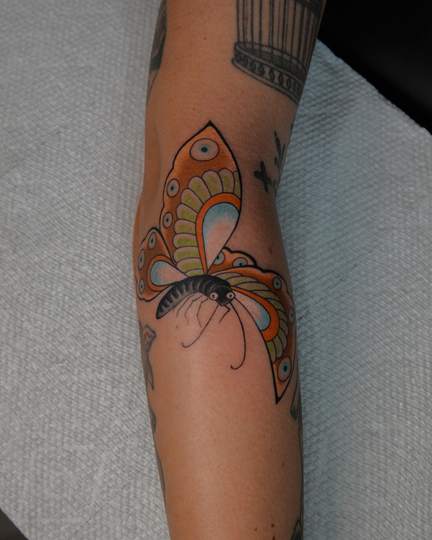 Butterfly new school tattoo on the forearm by zak brochu, Windsor, Ontario