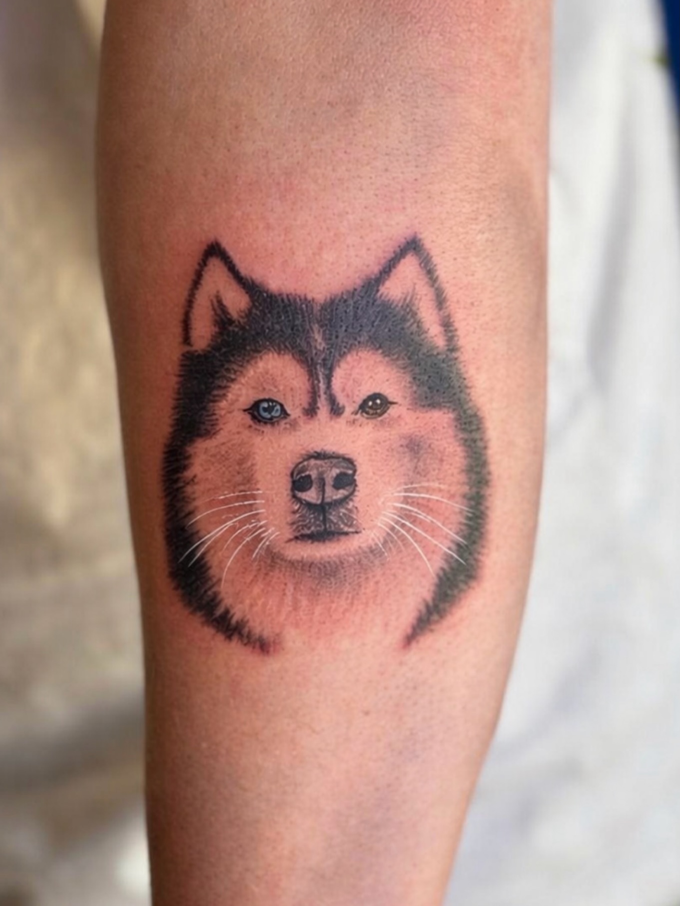 Husky dog realism tattoo on the forearm by Kate