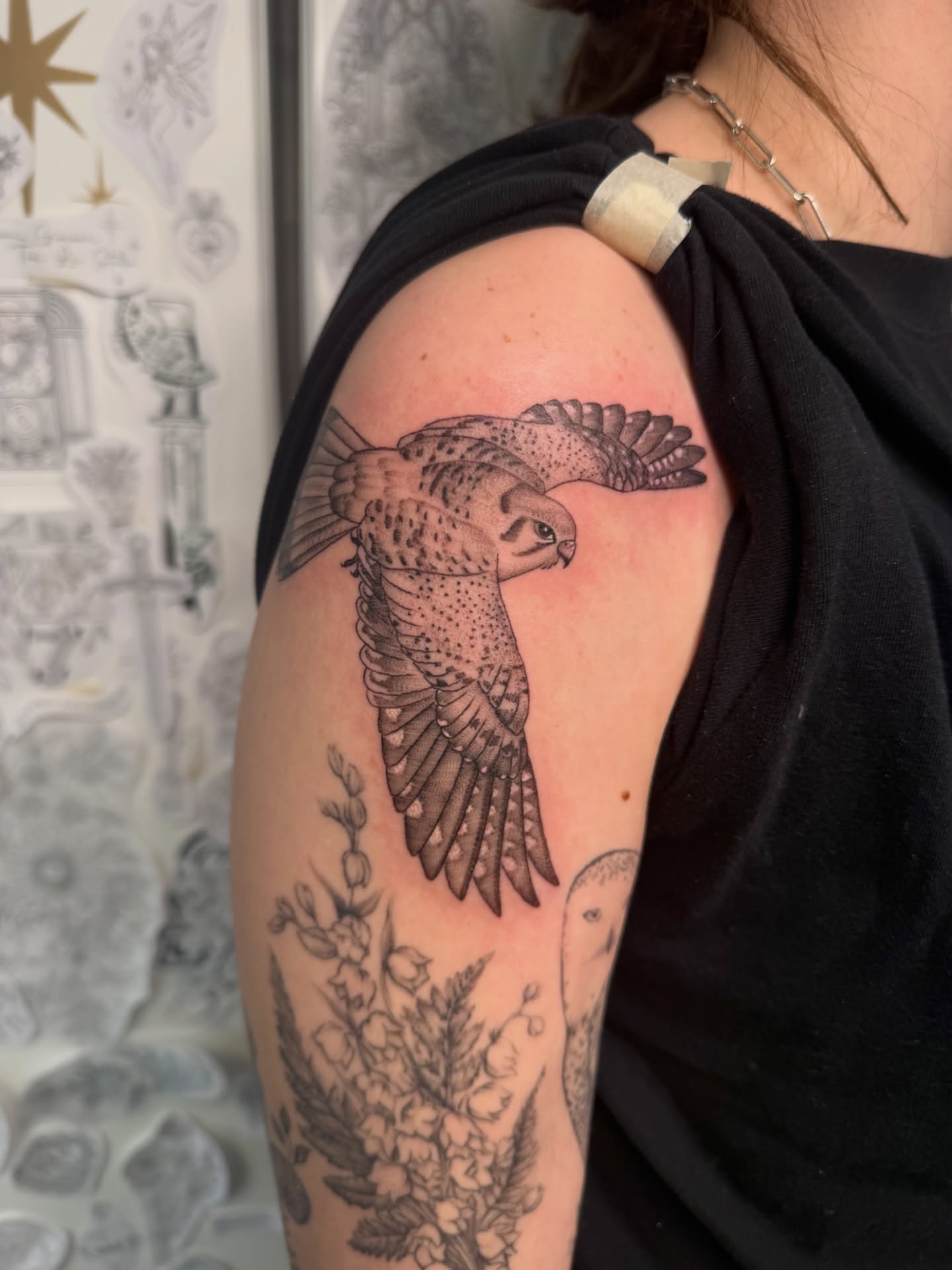 Falcon black and grey tattoo on the shoulder by Alexx Colombo