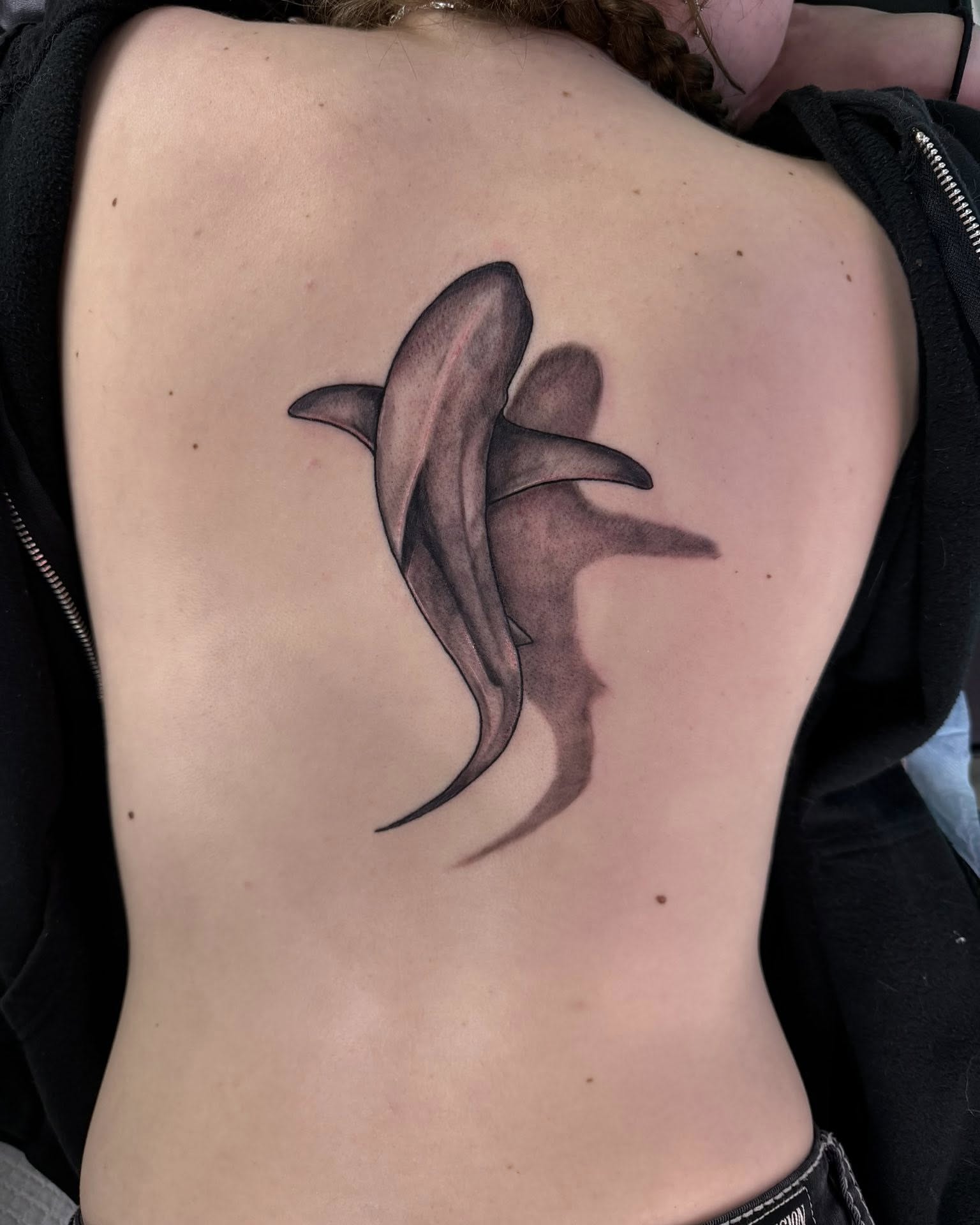 Shark realism tattoo on the back by Haley Winfree