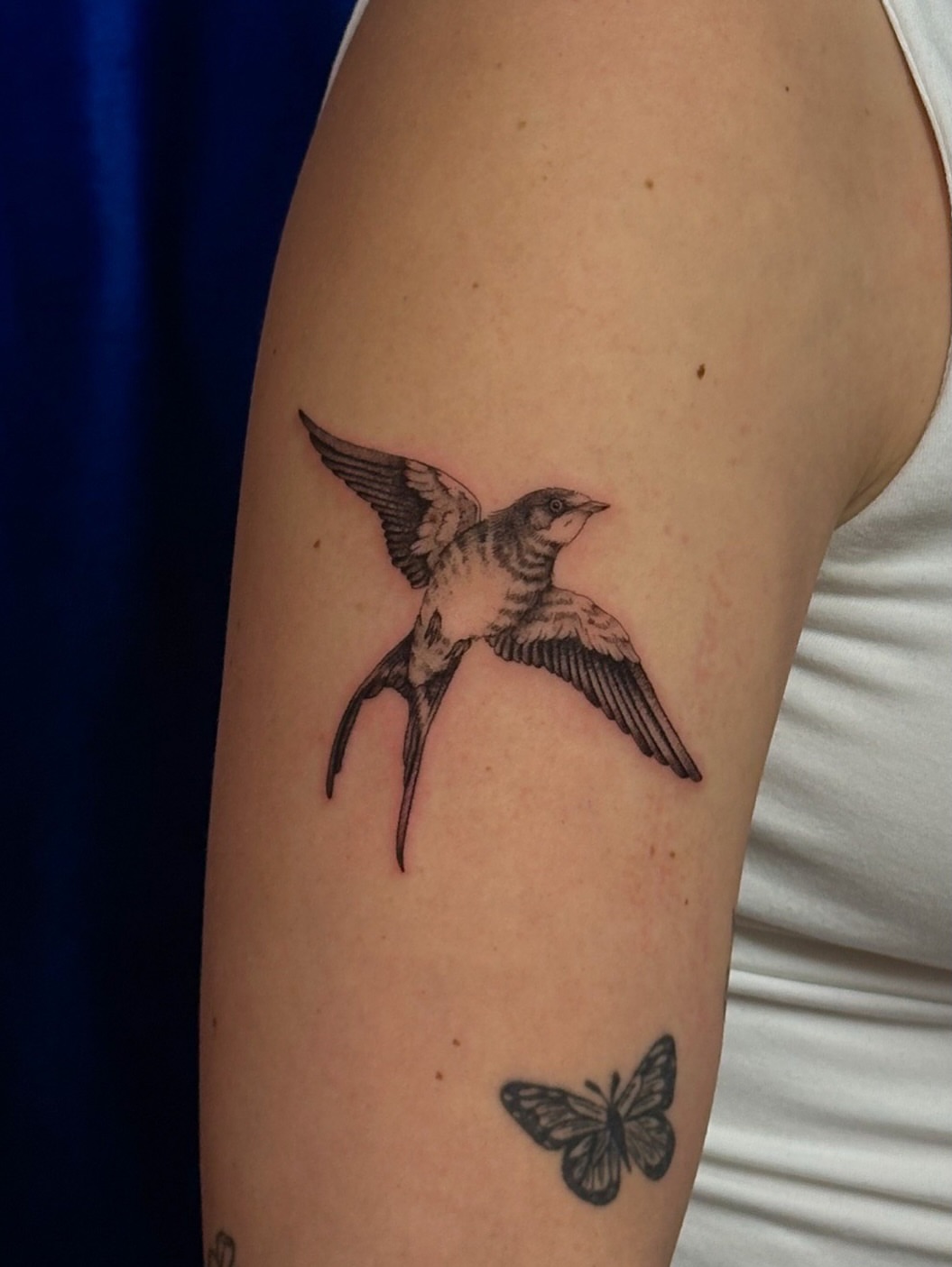 Swallow black and grey tattoo on the forearm by ๐ฐ ๐ต๐๐๐๐๐ ๐ฐ