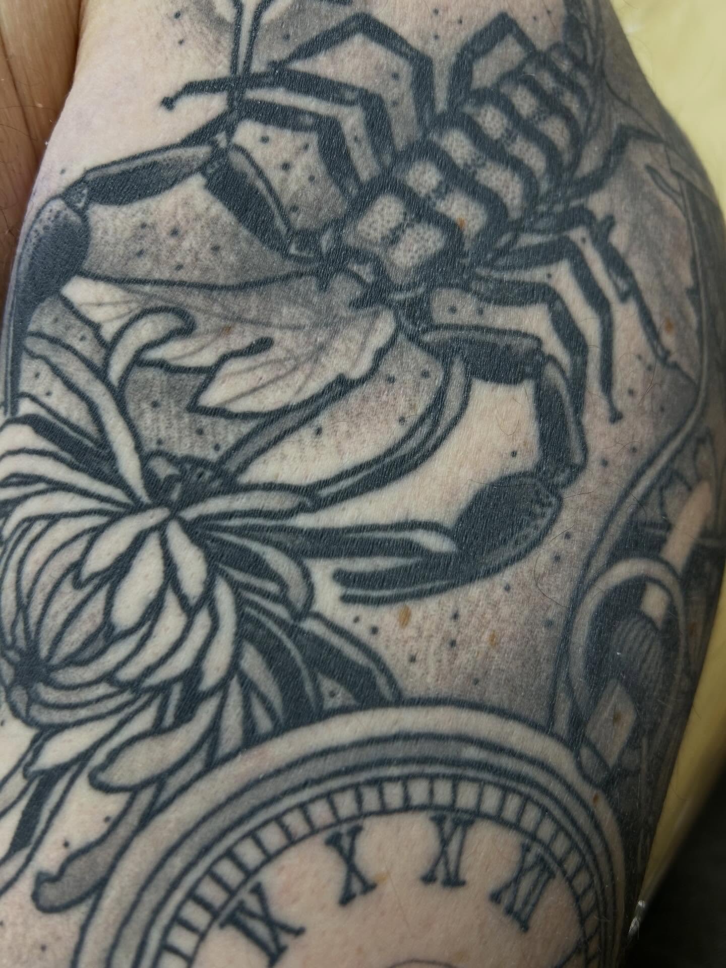 Tattoo by @chad_williams84 — american_traditional