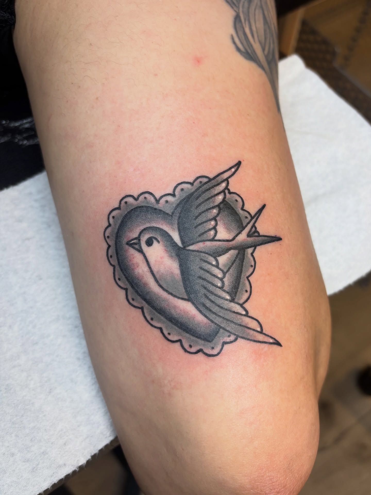 Bird American traditional tattoo on the forearm by Malia Clark