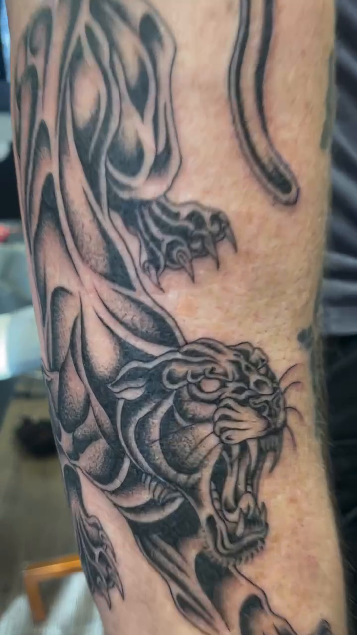 Panther tattoo realism tattoo on the forearm by Brayden P Tattoo