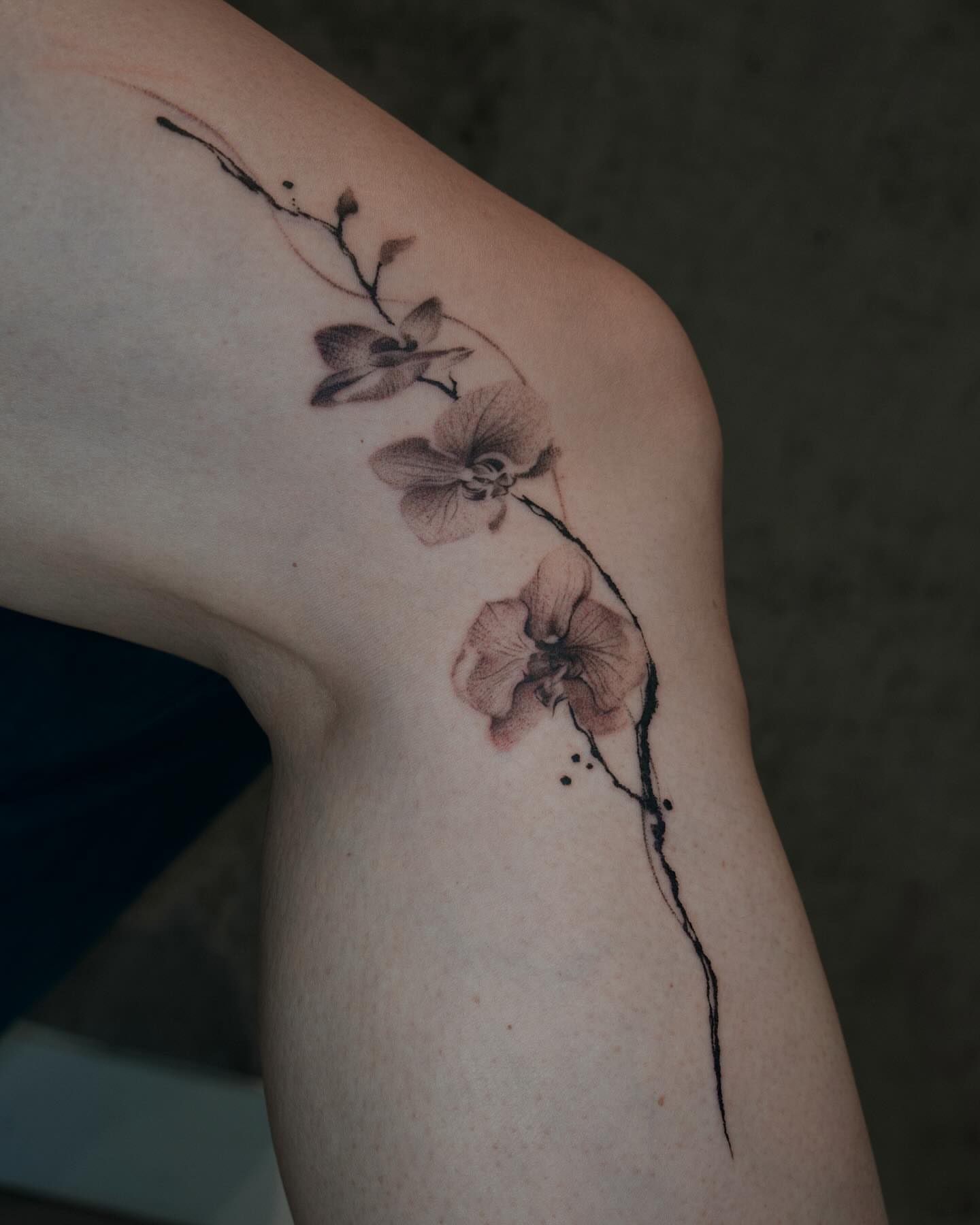 Tattoo by @tattooist_lionel β dotwork, realism