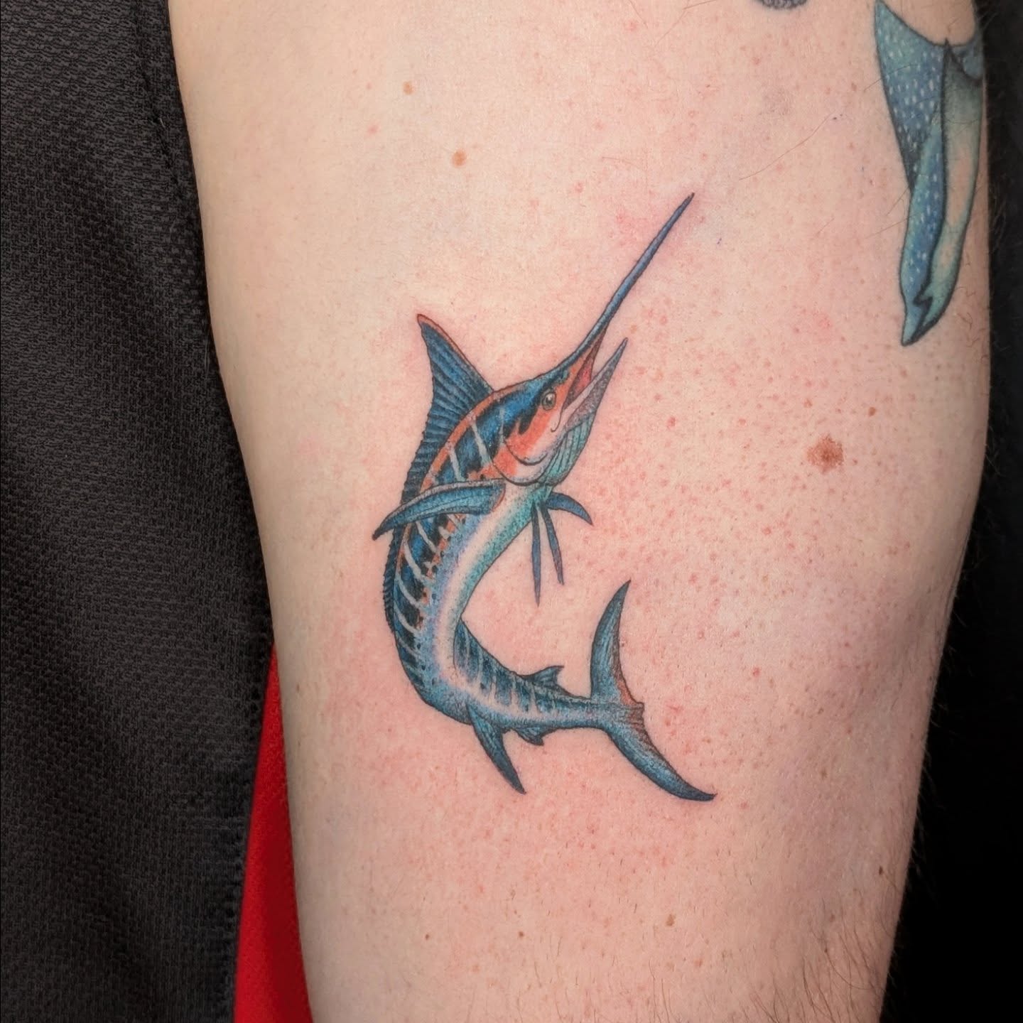 Marlin realism tattoo on the forearm by π²π°πket