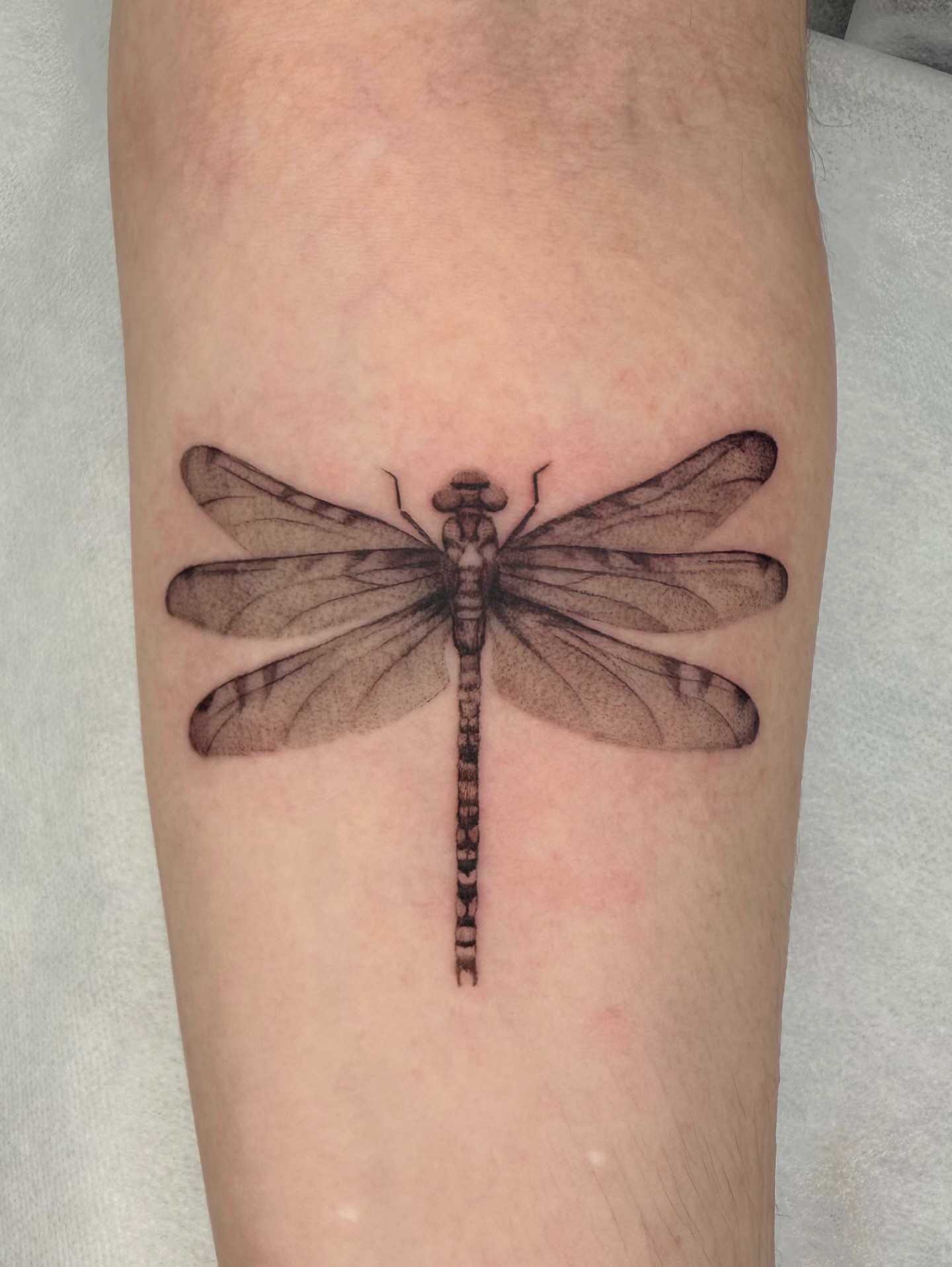 Dragonfly realism tattoo on the forearm by Red