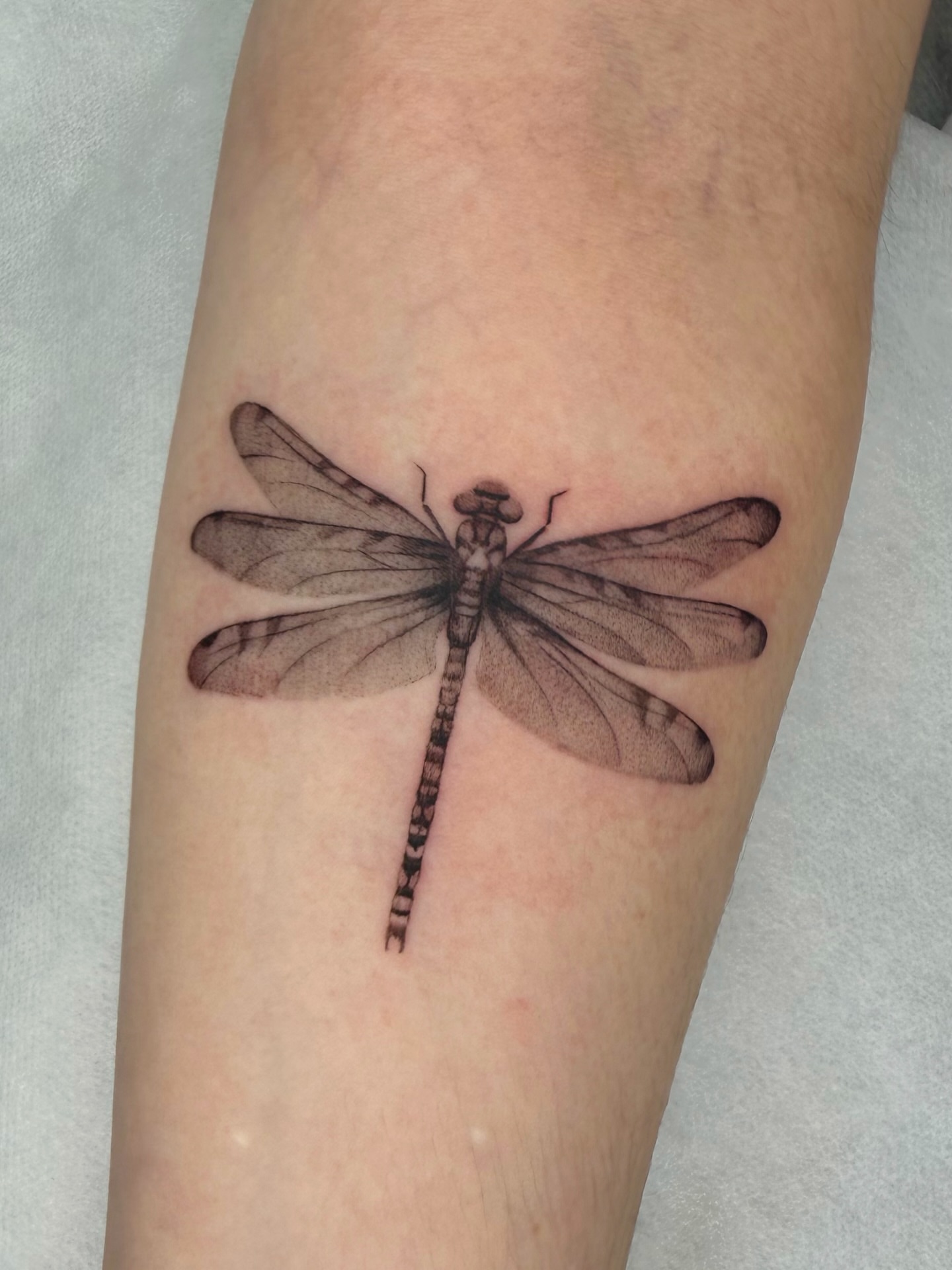 Dragonfly dotwork tattoo on the forearm by Red
