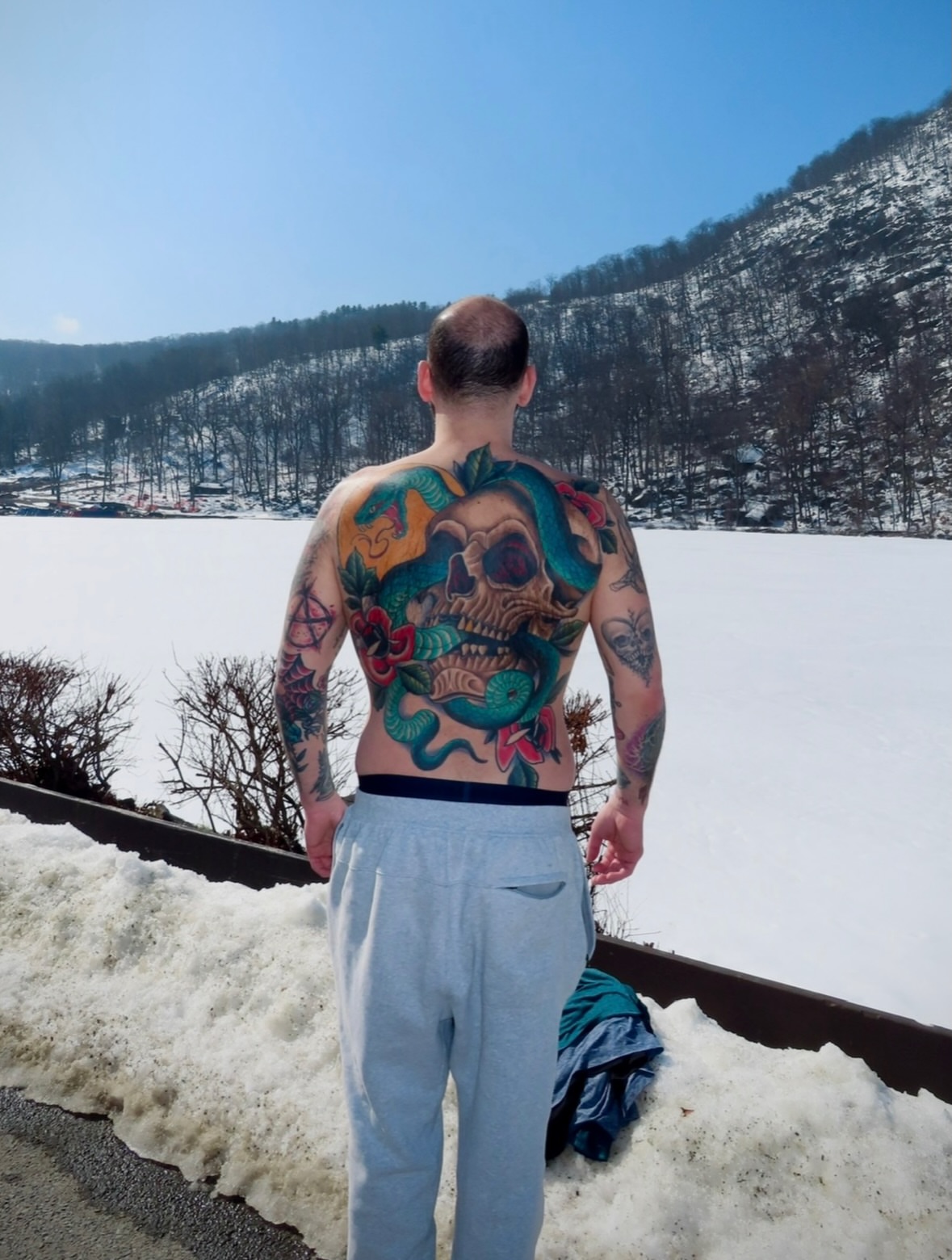Skull and snake American traditional tattoo on the back by Mickey Putillo, Charlotte, North Carolina
