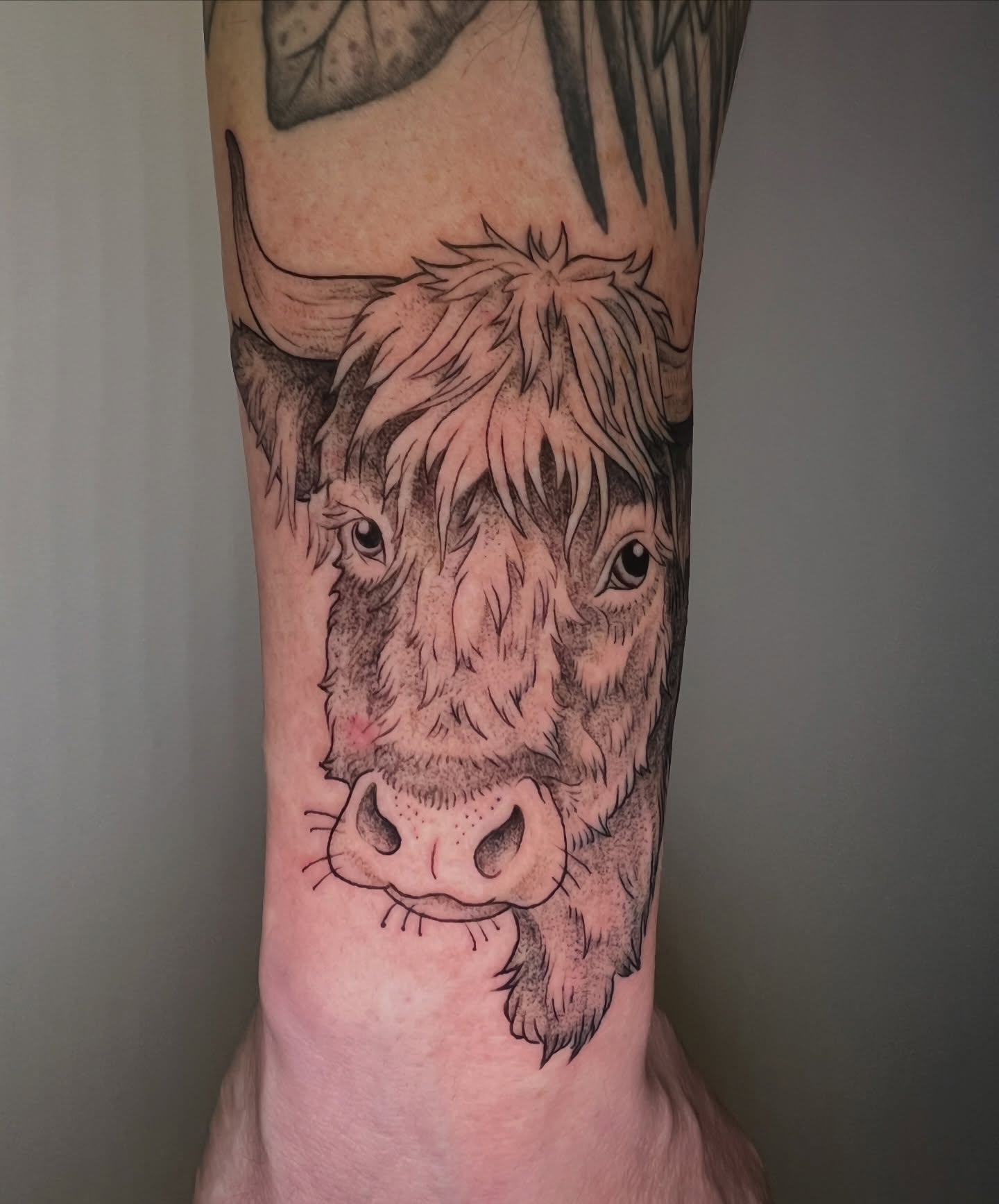 Highland cow realism tattoo on the forearm by Tattoos by Shashonna - Portland Tattoo Artist
