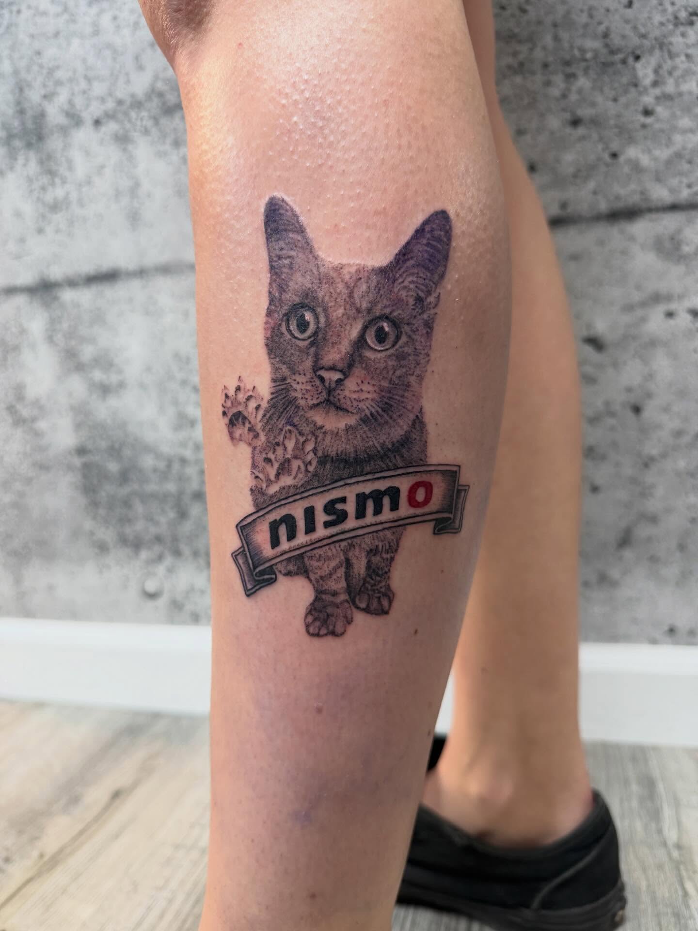 Cat realism tattoo on the forearm by Aura Noire