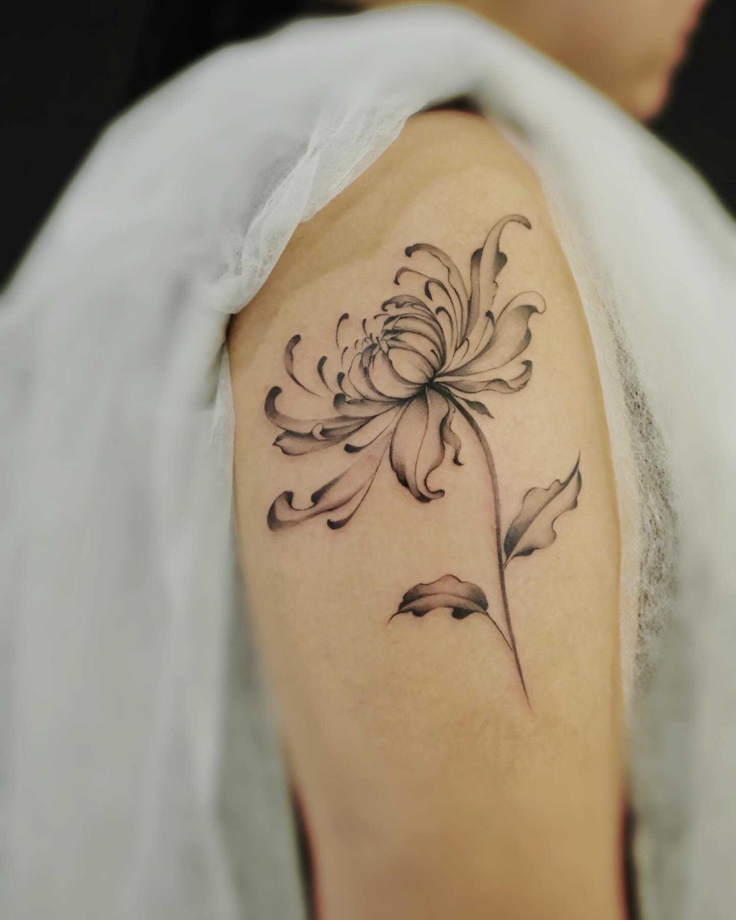 Chrysanthemum black and grey tattoo on the upper arm by Raytattooist
