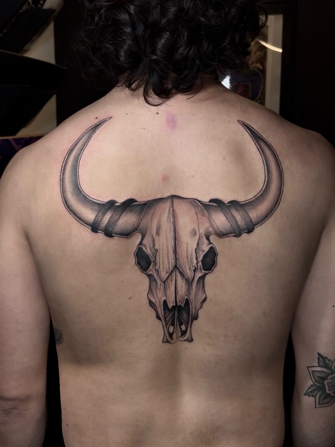 Bull skull realism tattoo on the back by Turk