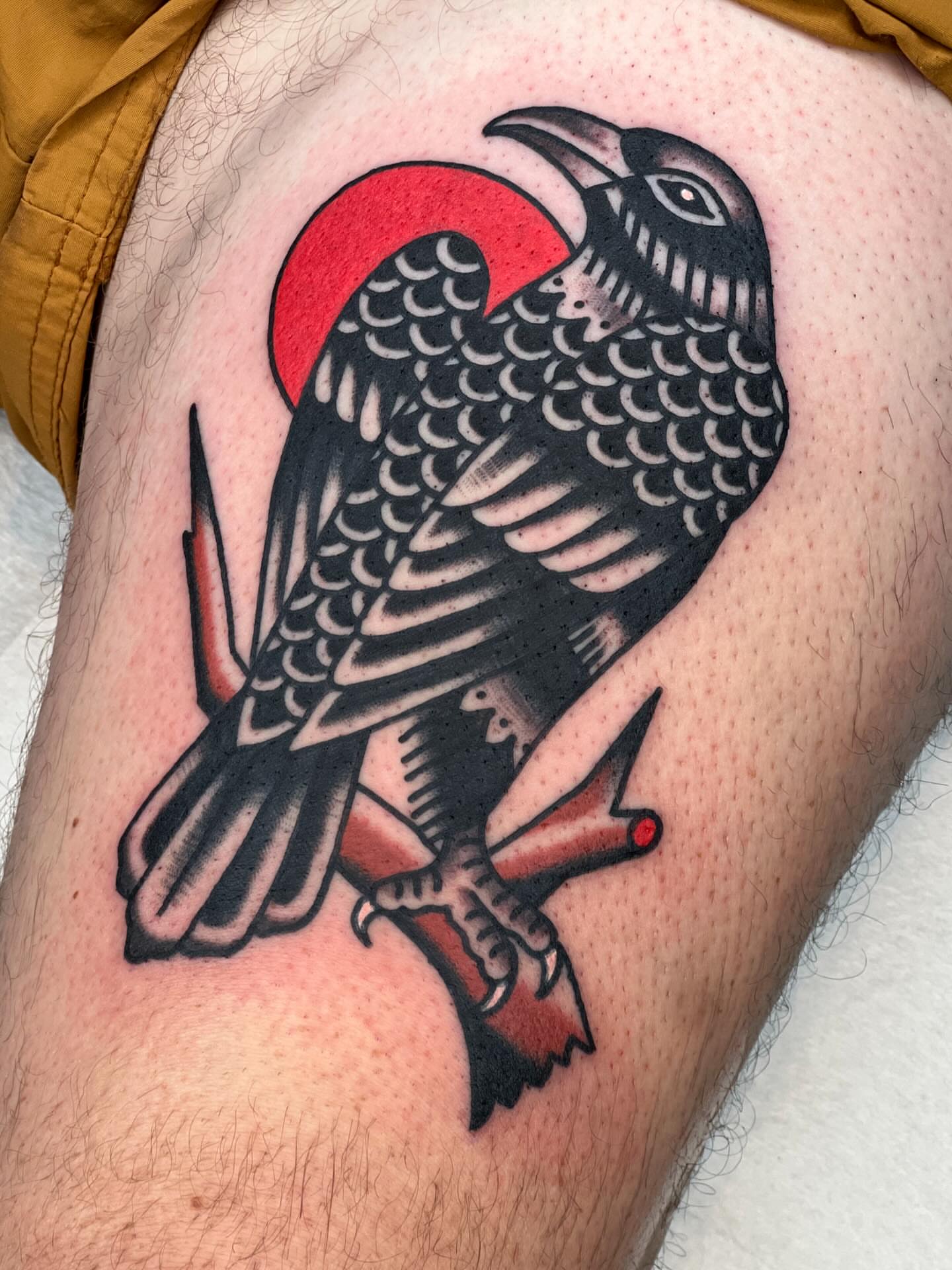 Crow American traditional tattoo on the thigh by Blake Francis, Worcester, Massachusetts
