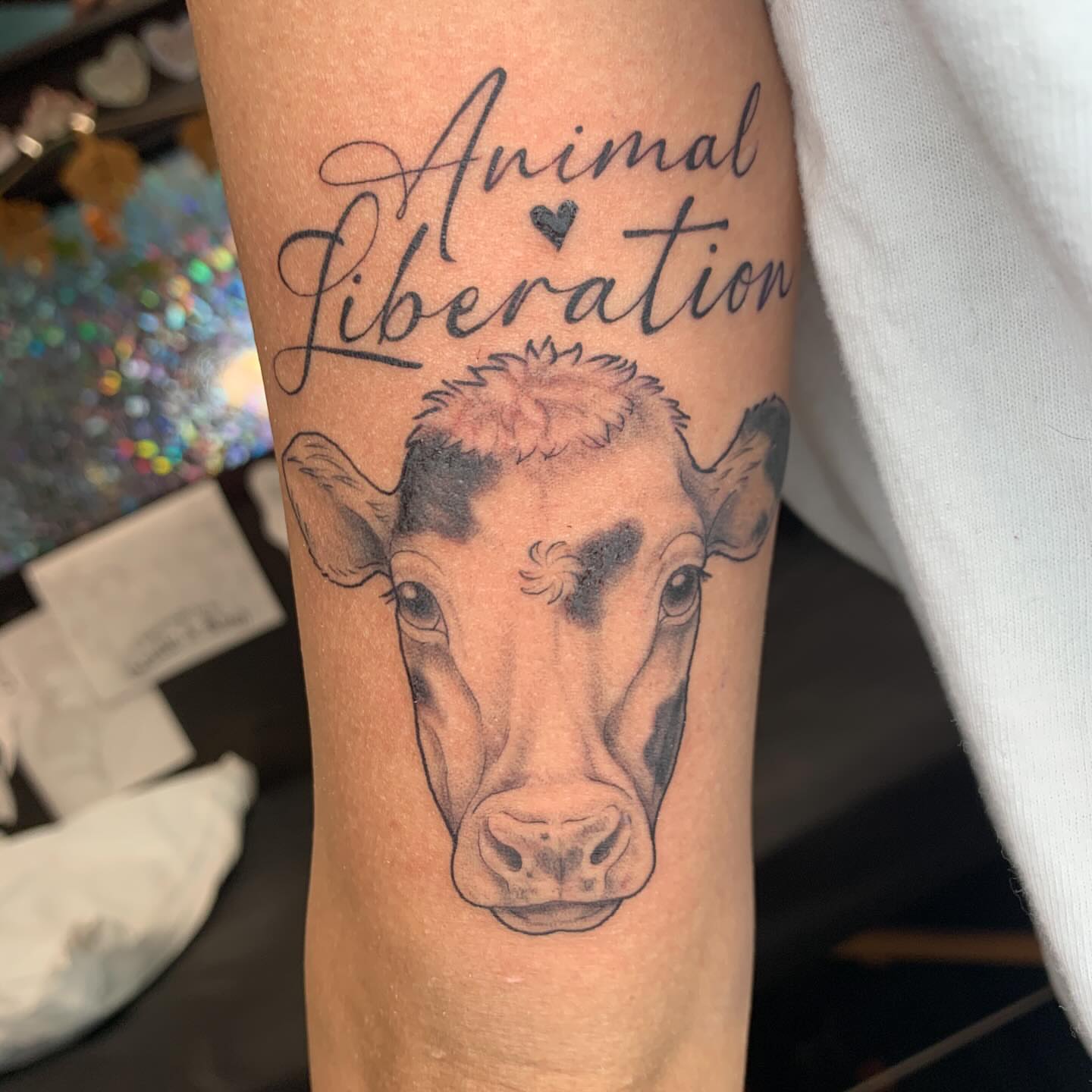 Cow realism tattoo on the forearm by Kitty Jones, Berkeley, California
