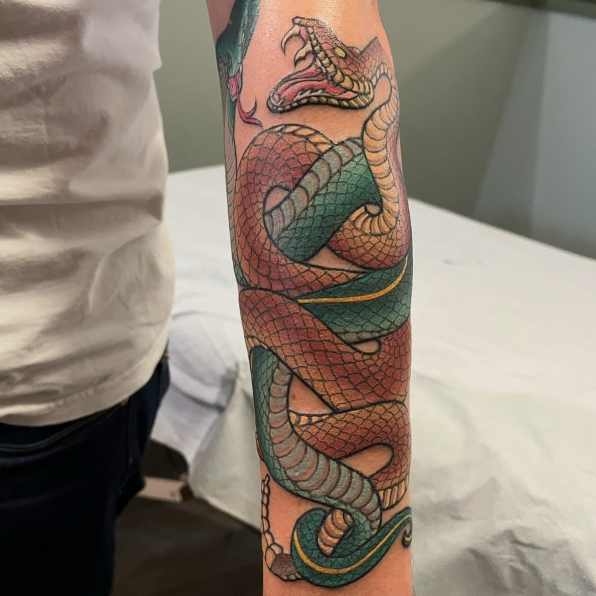 Snake new school tattoo on the forearm by Miles Maniaci, Chicago, Illinois