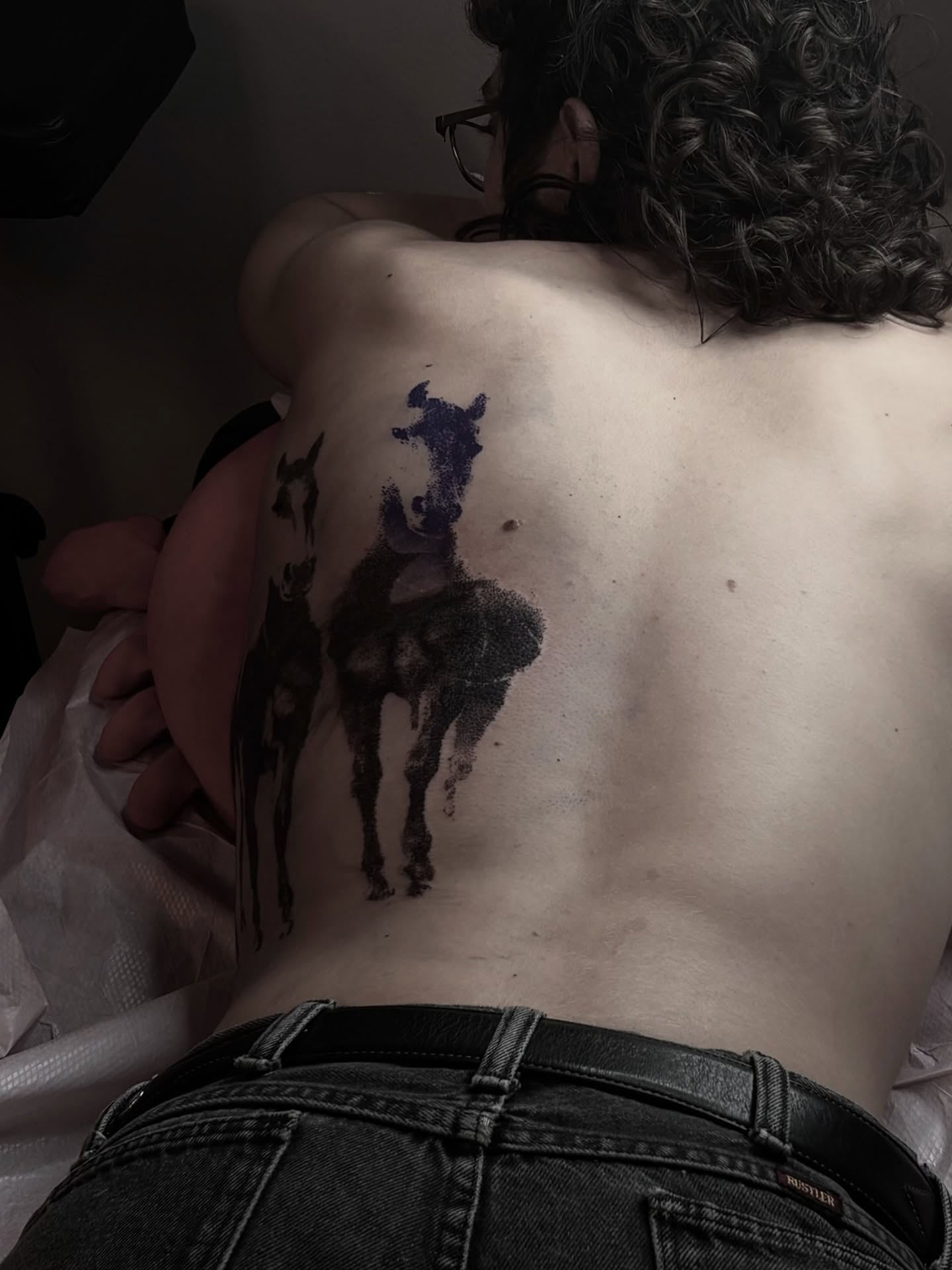 Goats black and grey tattoo on the back by Silvia :)